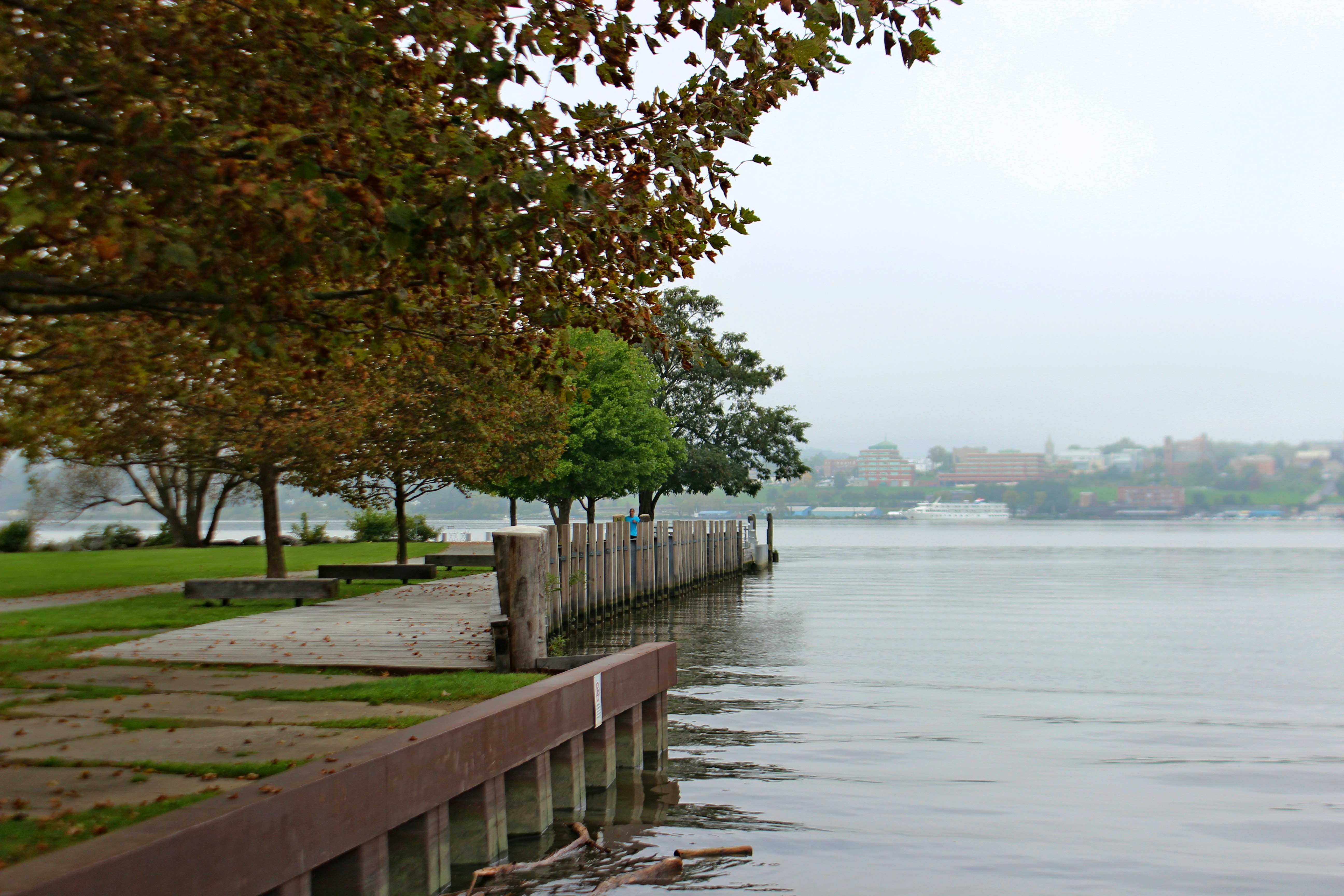 Photo by dominiquestueben