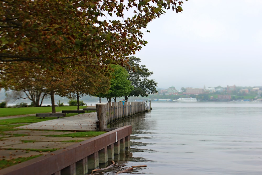 a body of water next to a wooden dock