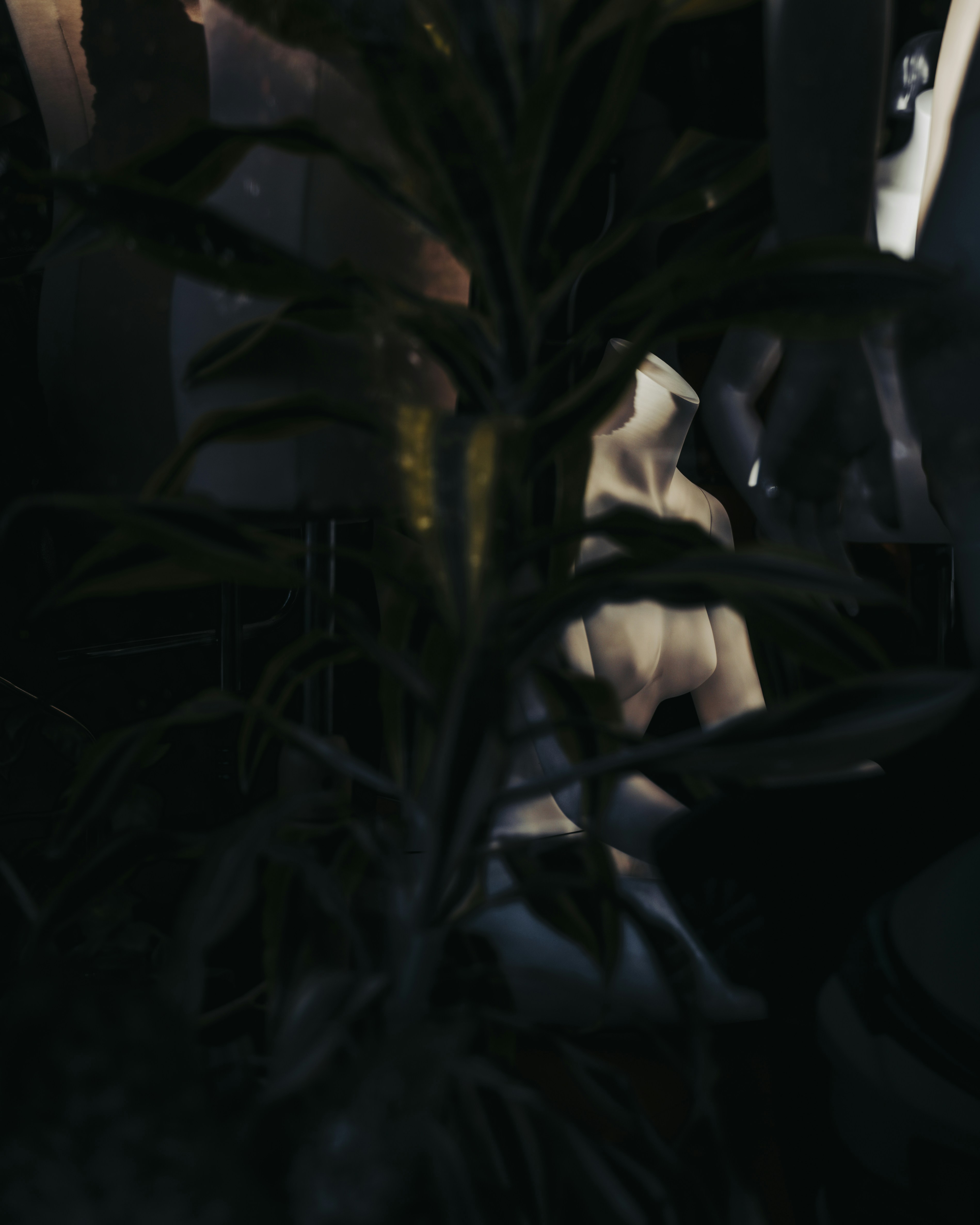 Photo by maksym_tymchyk