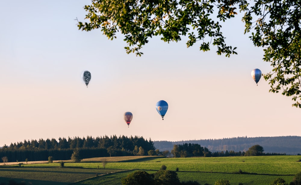 a group of hot air balloons flying over a lush green field