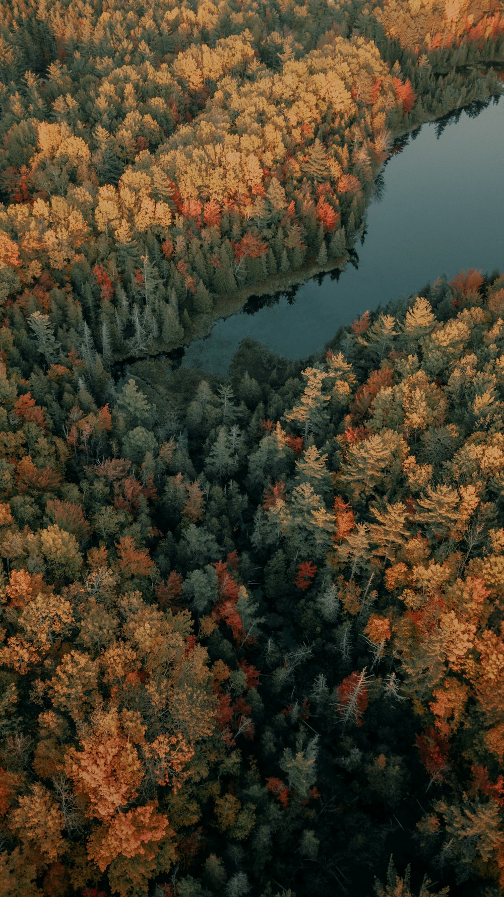 an aerial view of a river surrounded by trees