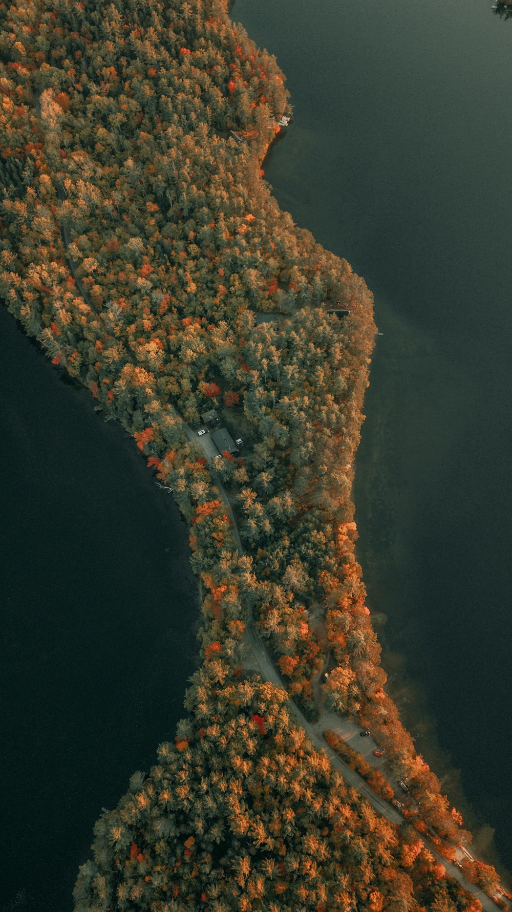 an aerial view of a body of water surrounded by trees