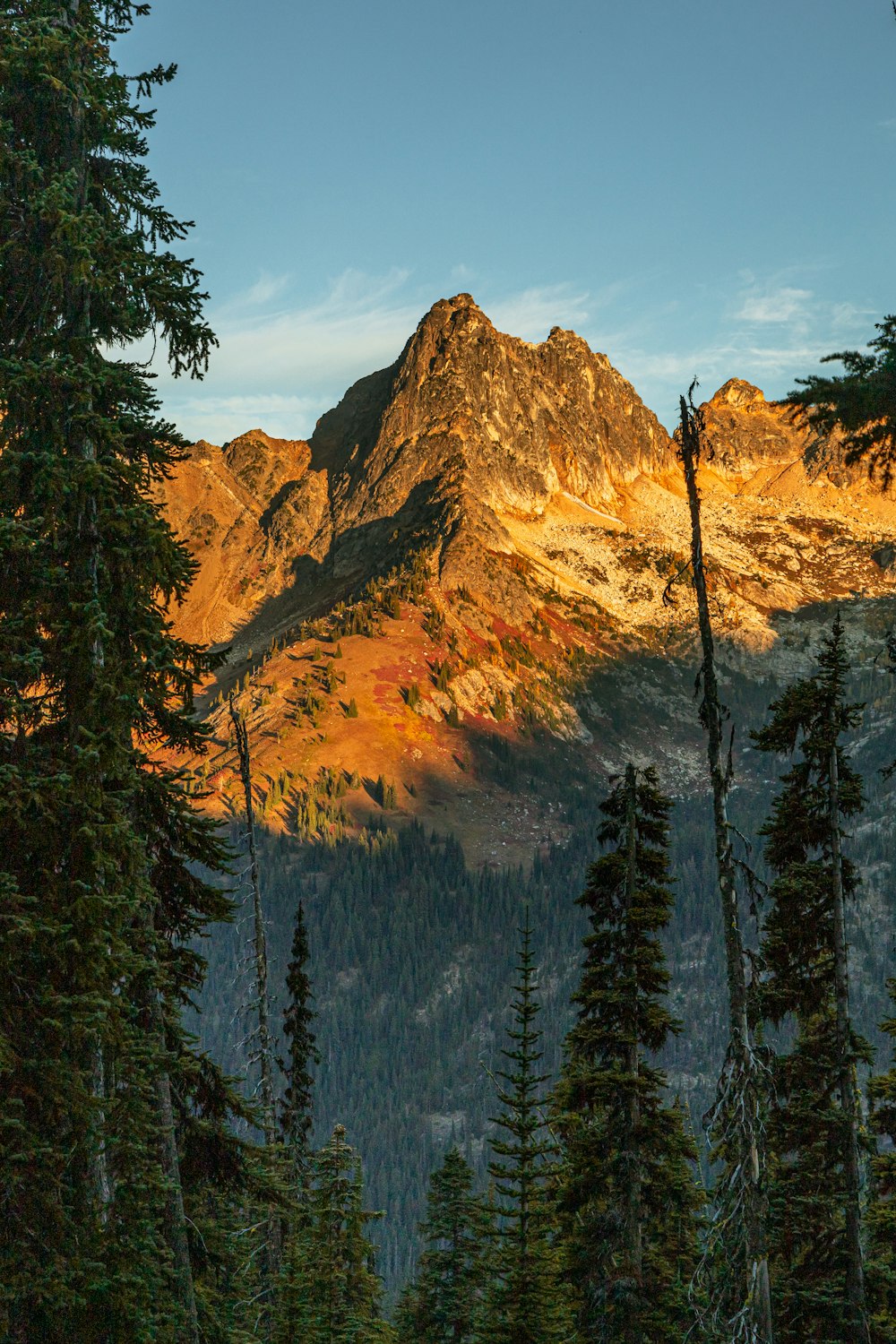 a view of a mountain with trees in the foreground