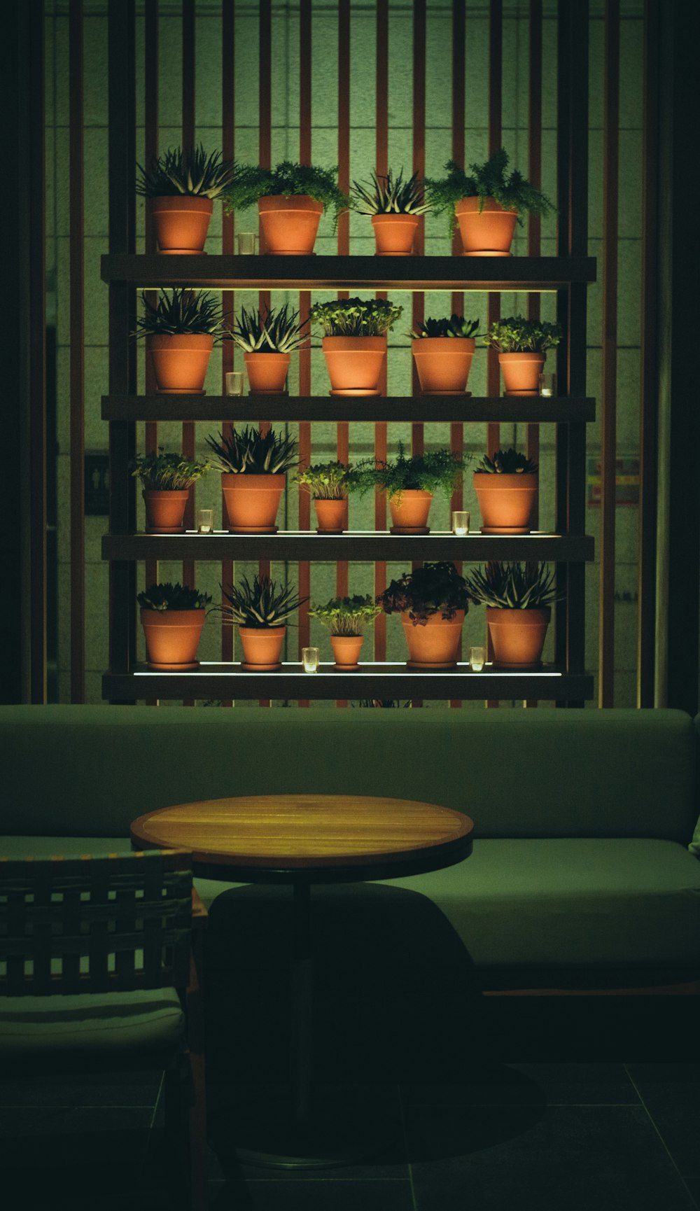 a room filled with lots of potted plants