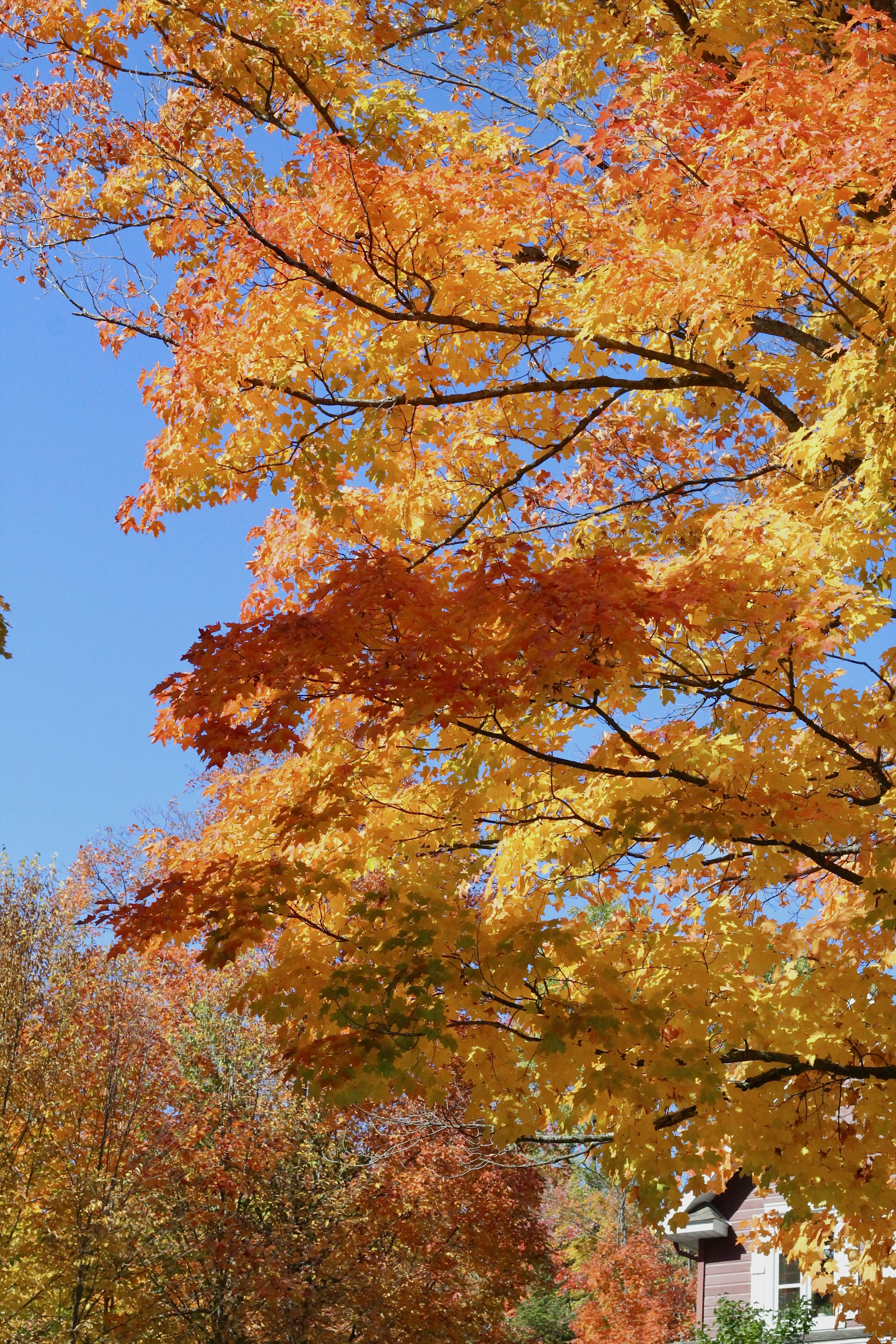 Photo by mia_mackenzie