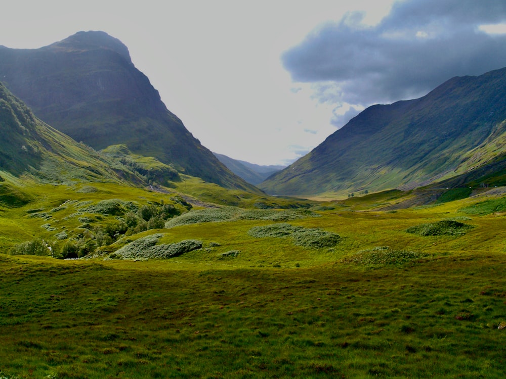 a lush green valley with mountains in the background