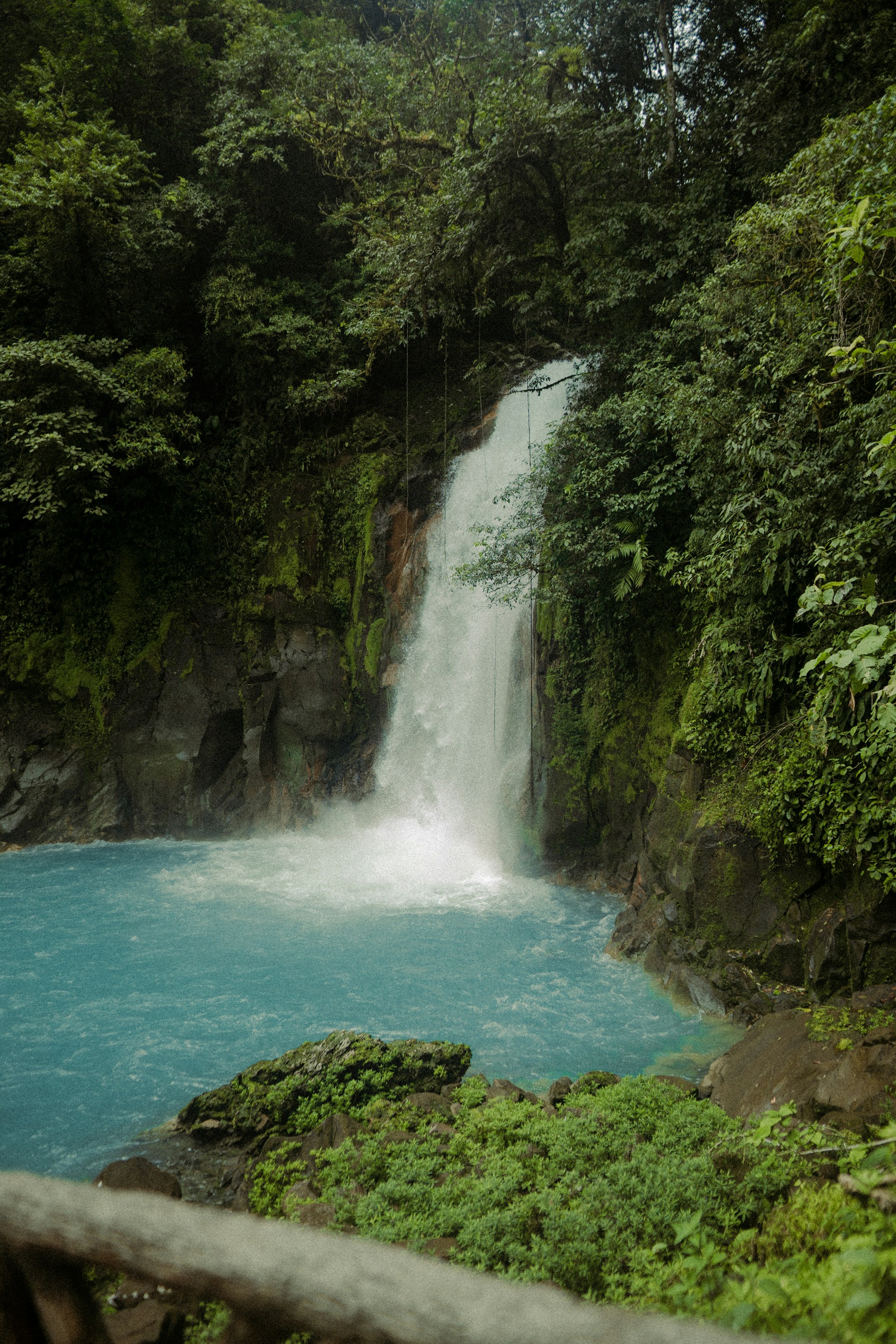 a waterfall in the middle of a forest