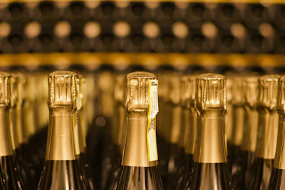 several bottles of champagne lined up in a row