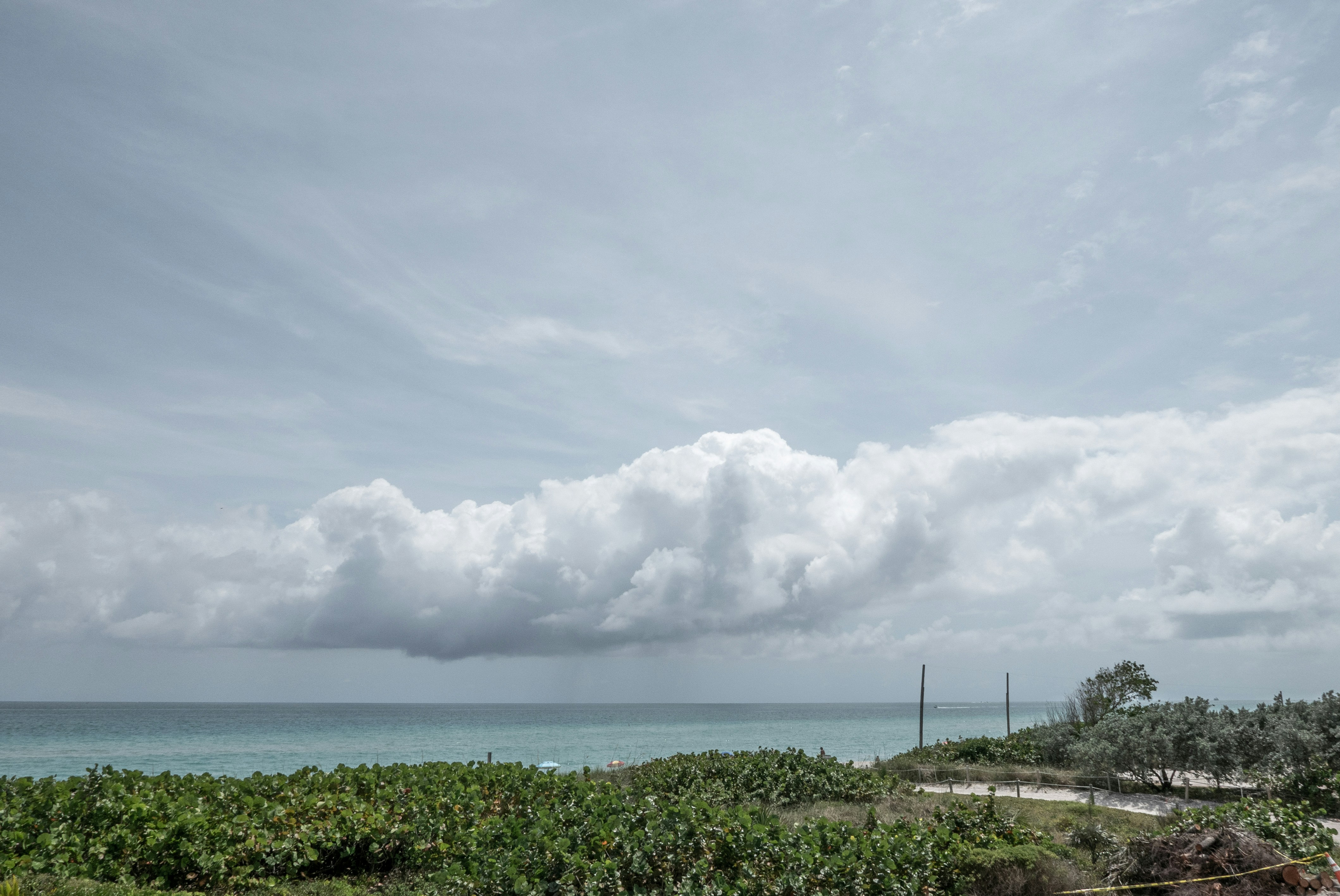 Photo by hectorfalcon