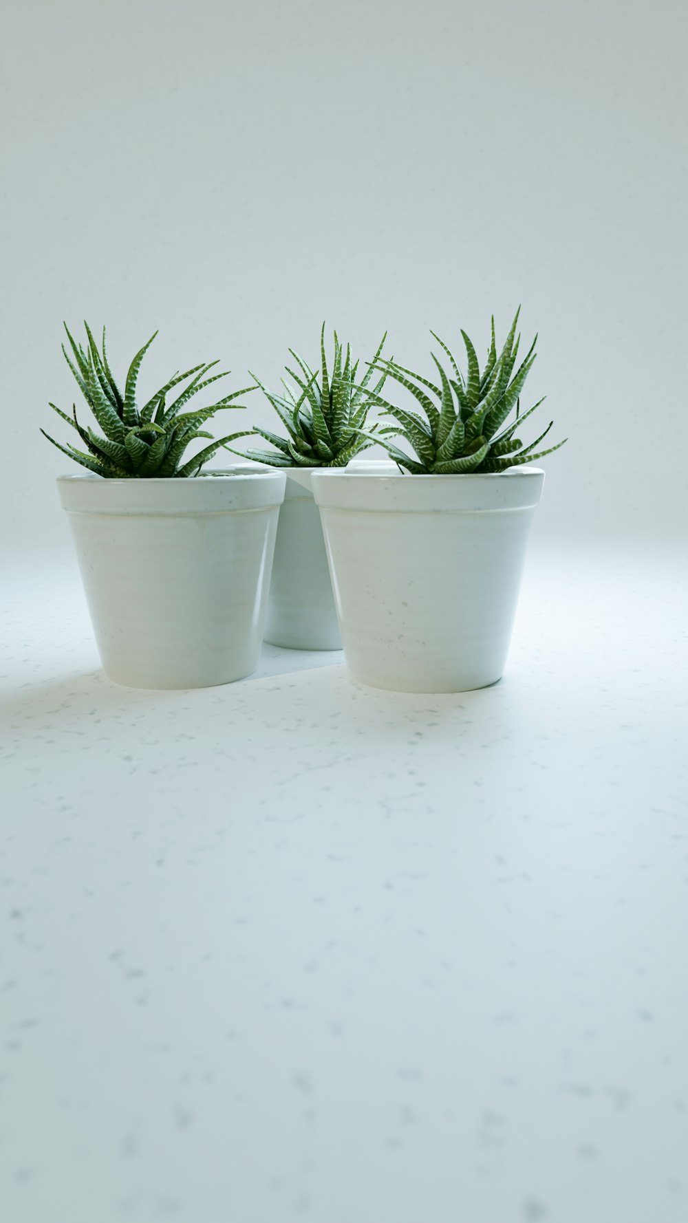 a couple of white pots with plants in them