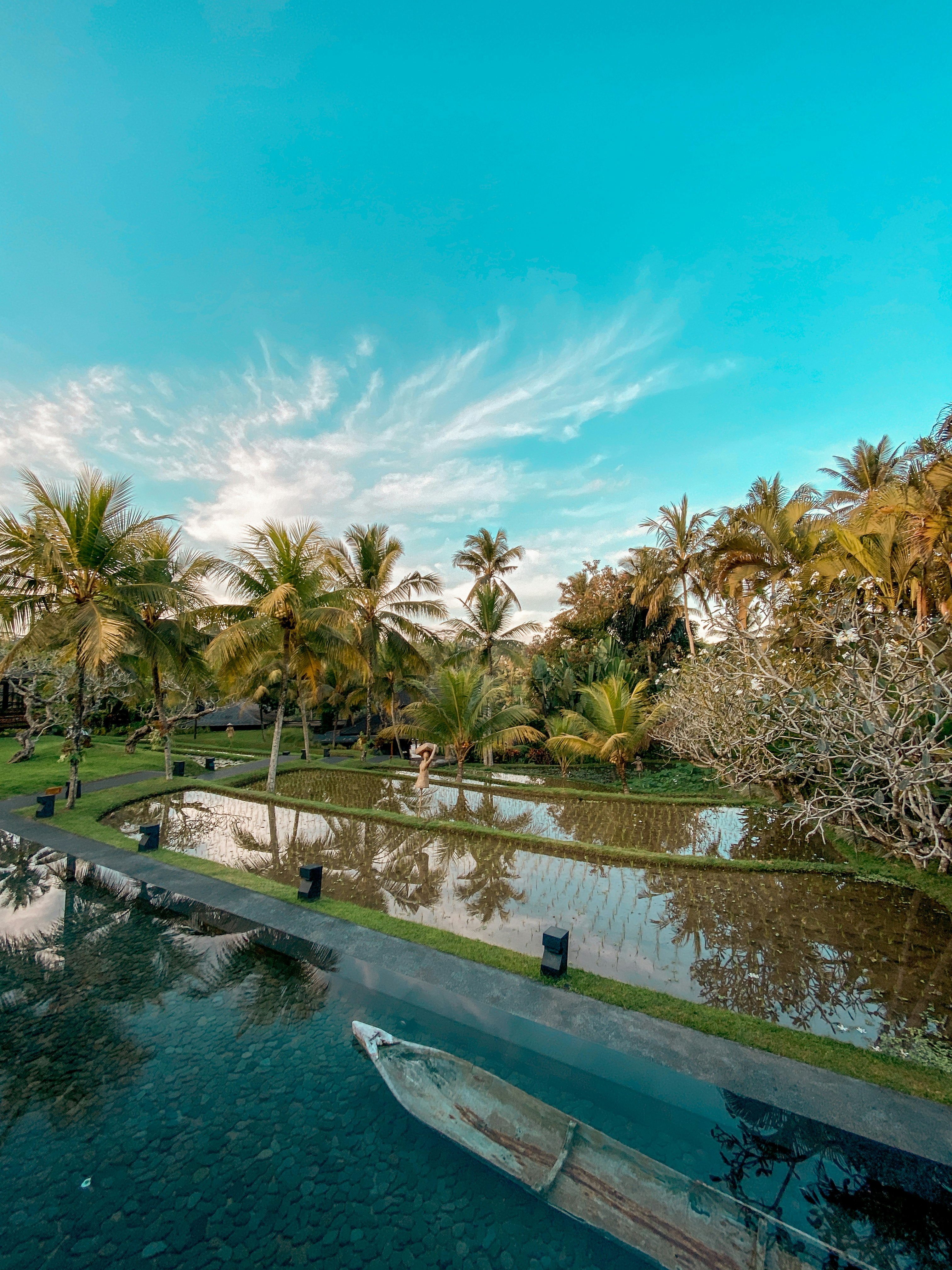 Photo by christianvasile