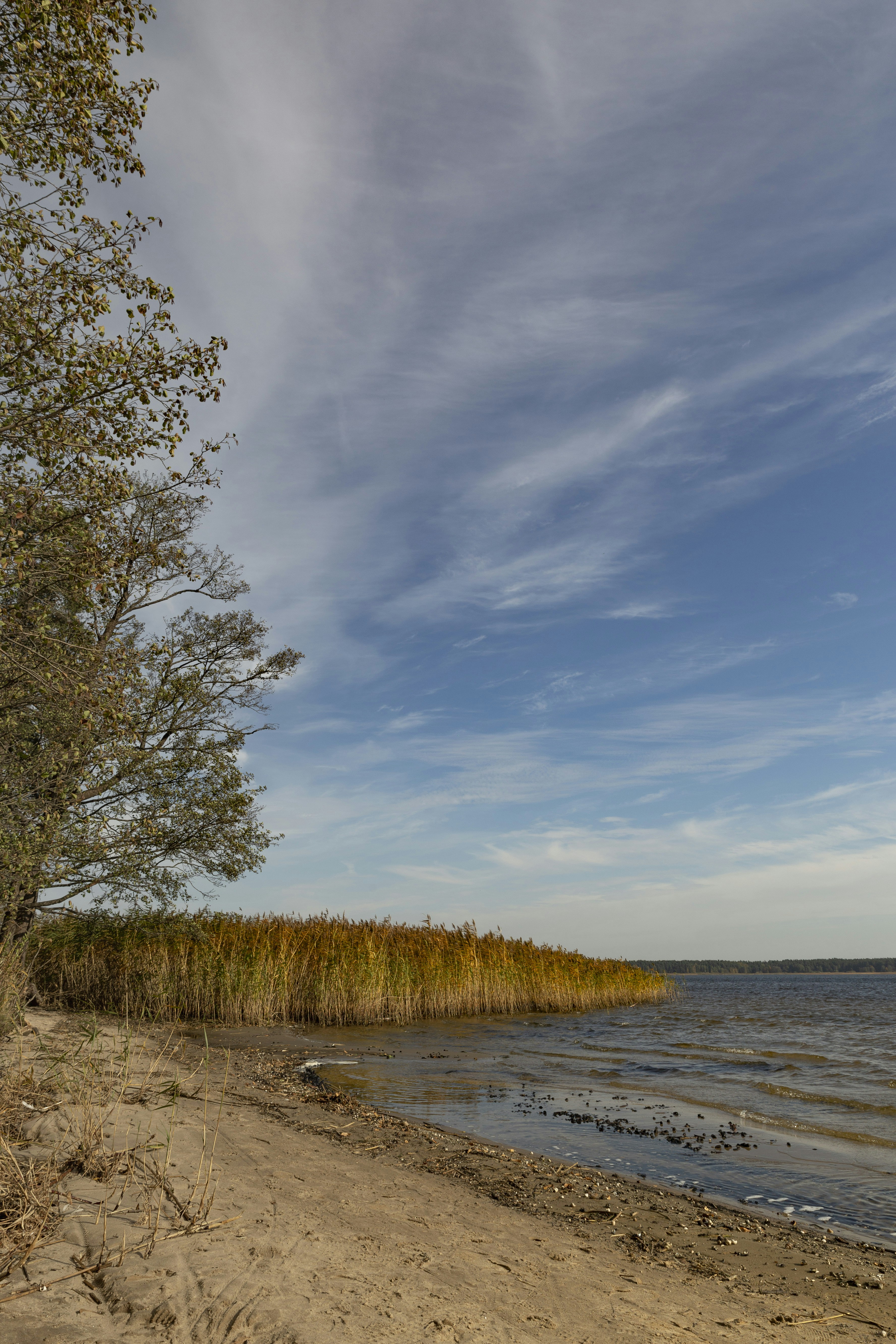 Photo by imagonarium