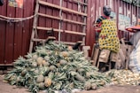 A vendor stands beside a large pile of pineapples, displayed for sale at an outdoor marketplace. The vendor is wearing a colorful apron and standing against a backdrop of a corrugated metal fence. Nearby are wooden planks, and bricks are used as weights to hold down a cloth.