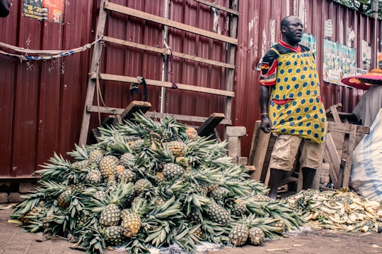 A vendor stands beside a large pile of pineapples, displayed for sale at an outdoor marketplace. The vendor is wearing a colorful apron and standing against a backdrop of a corrugated metal fence. Nearby are wooden planks, and bricks are used as weights to hold down a cloth.