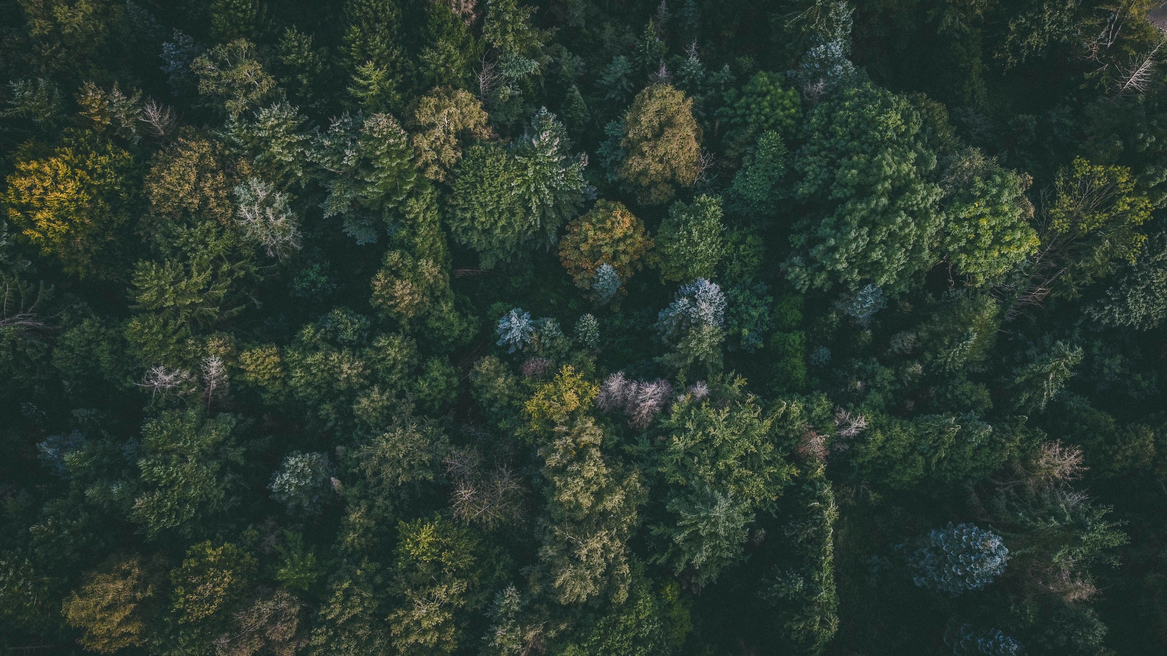 Photo by moritz_photography