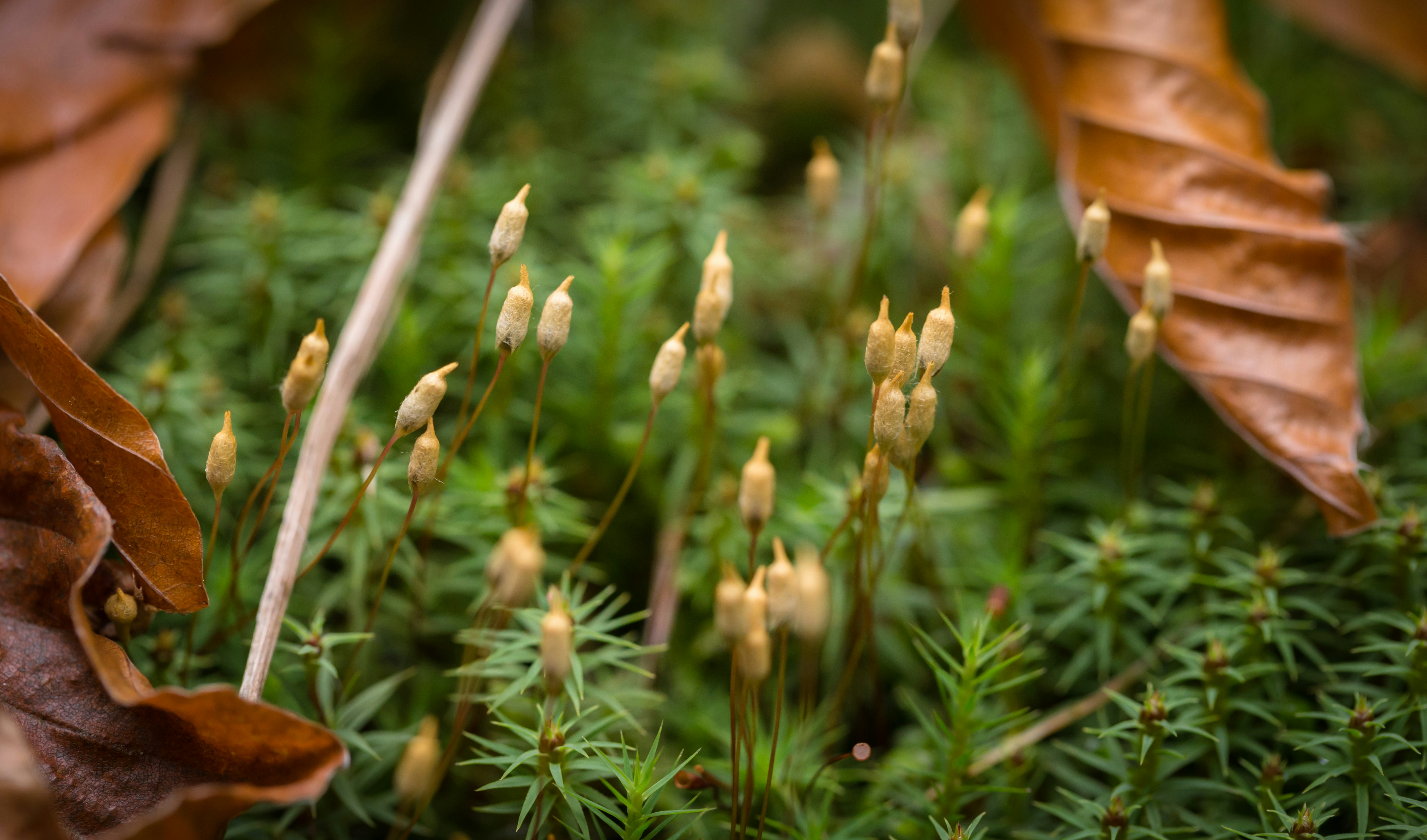 Photo by blooddrainer