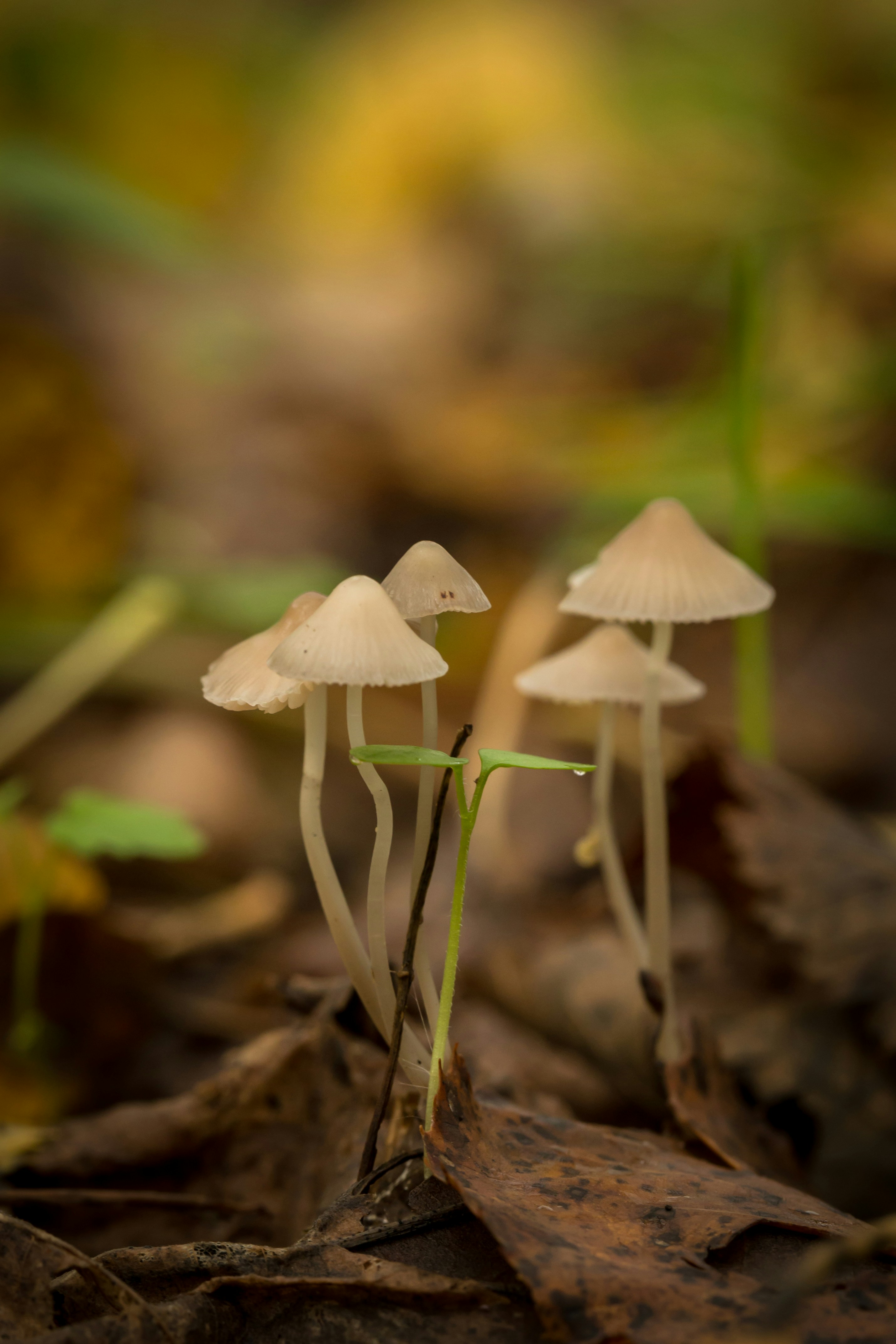 Photo by blooddrainer