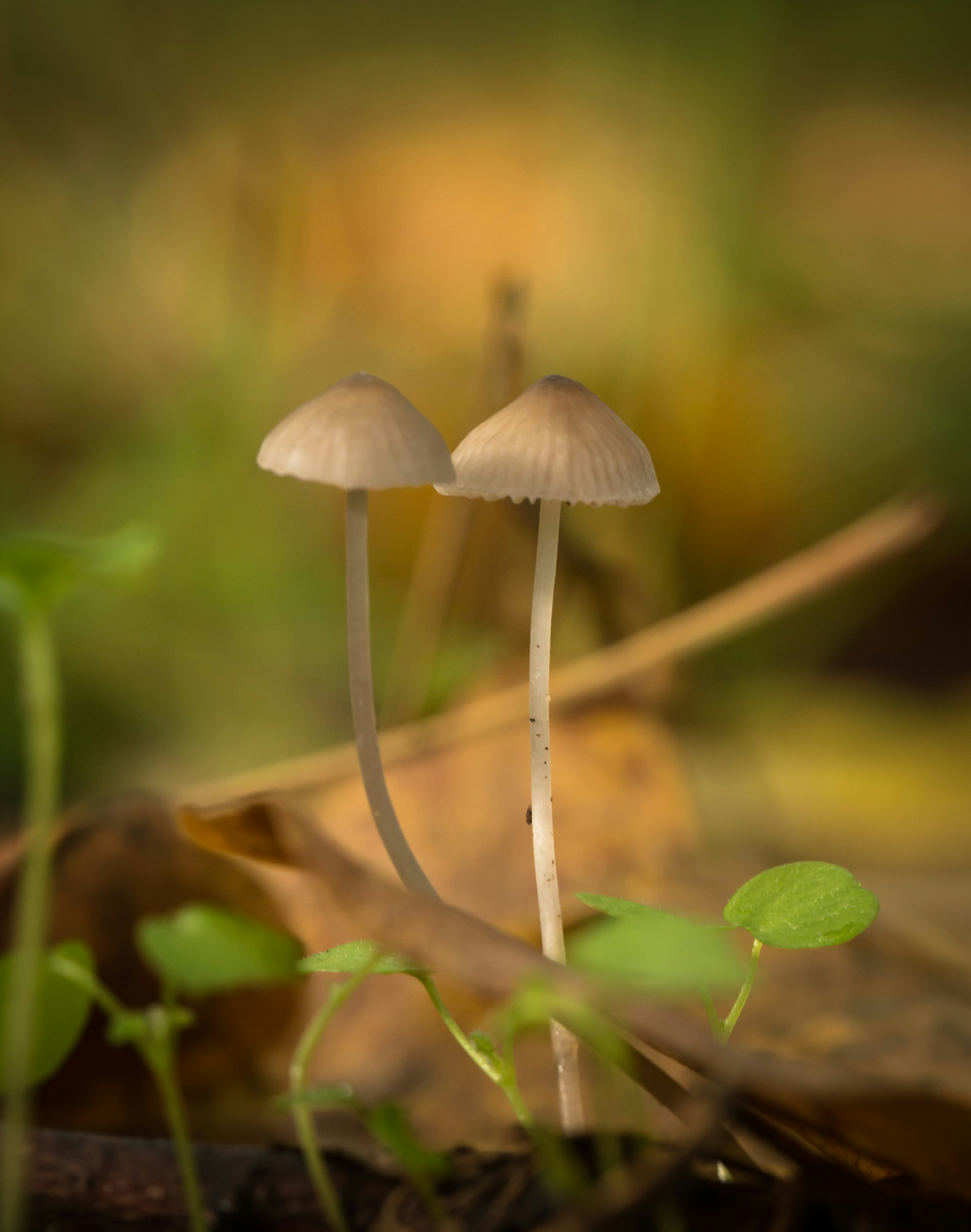 Photo by blooddrainer