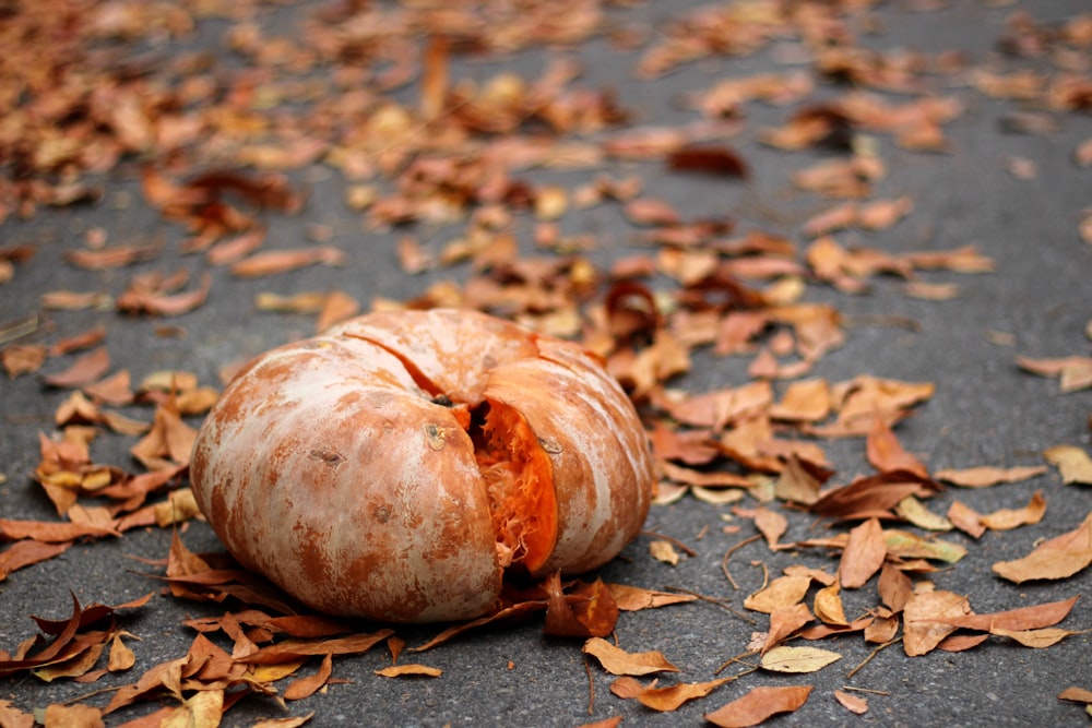 a rotten gourd laying on the ground surrounded by leaves