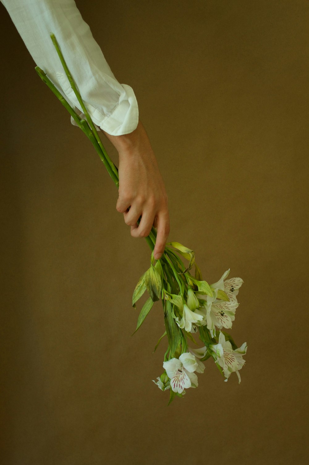uma pessoa segurando um ramo de flores em sua mão