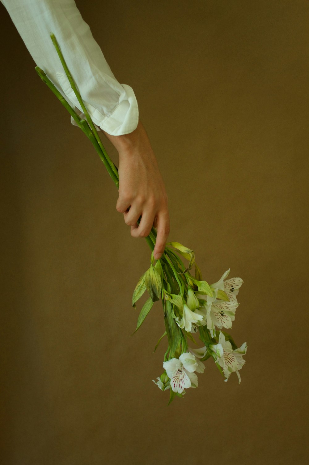 a person holding a bunch of flowers in their hand