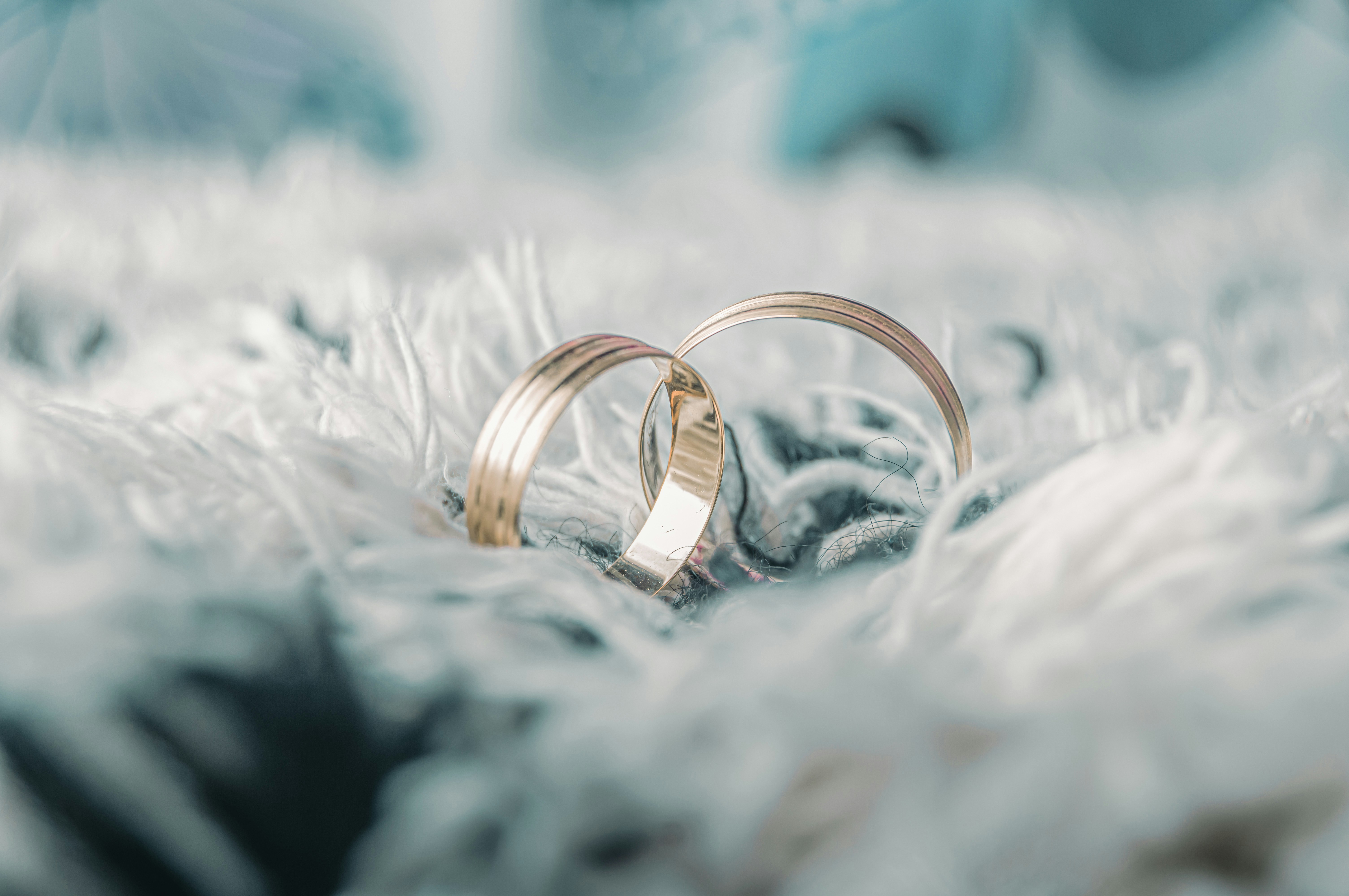 two wedding rings sitting on top of a fluffy white blanket
