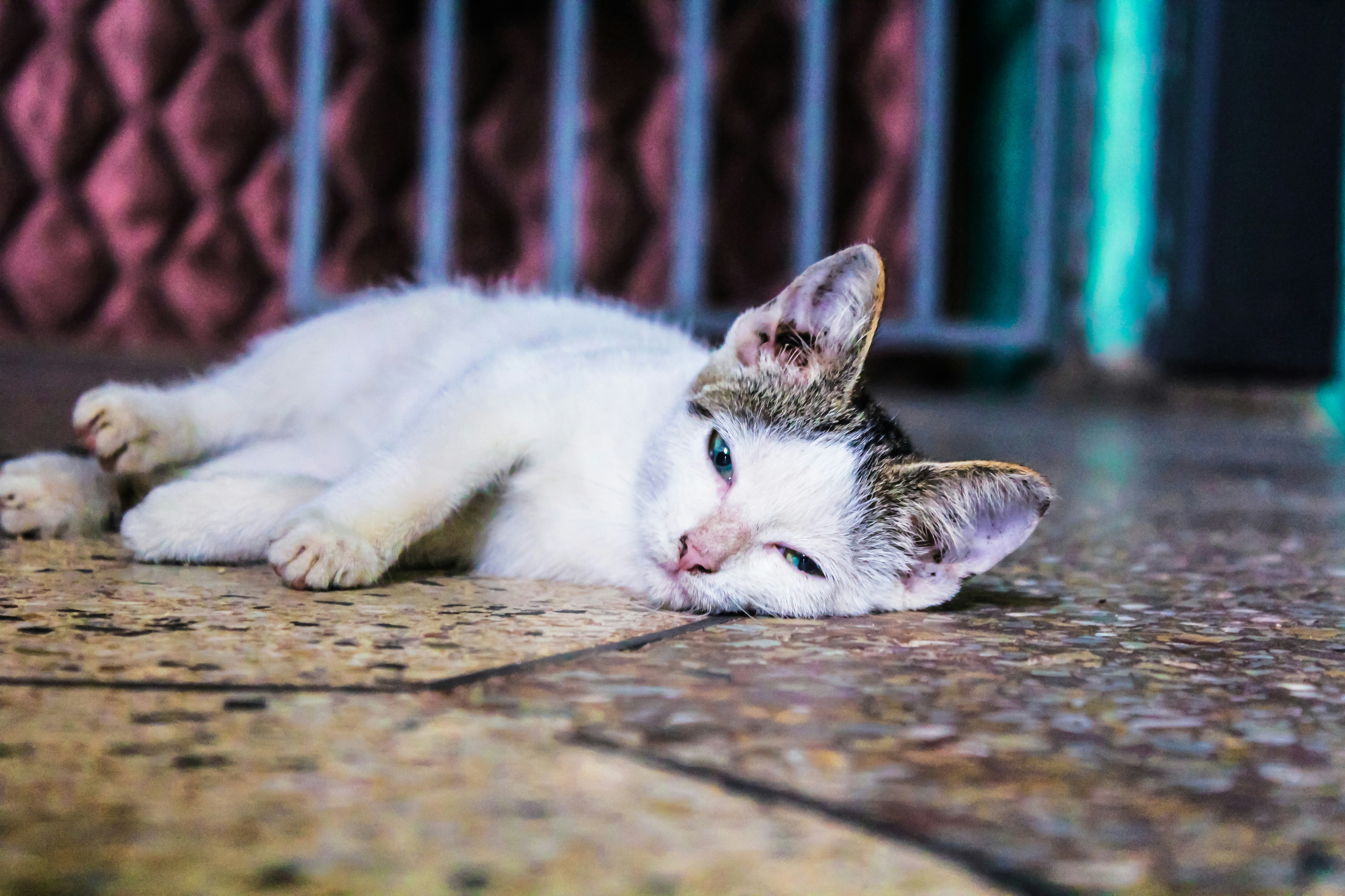 Photo by immanuel_offei