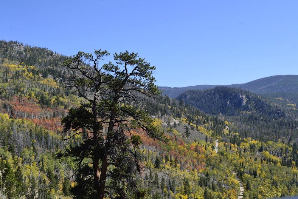 a view of a mountain range with a lake in the foreground