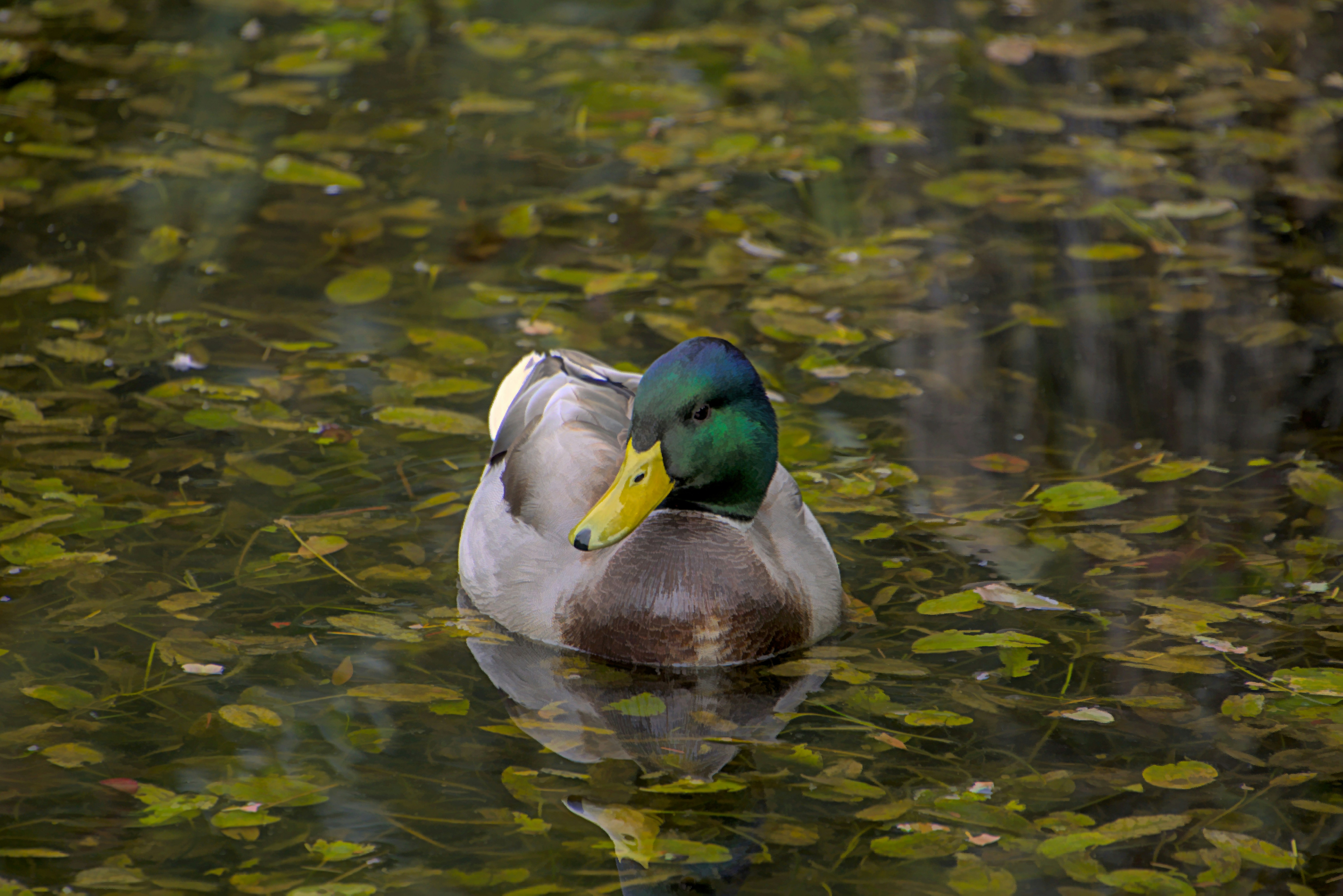 Photo by twalton
