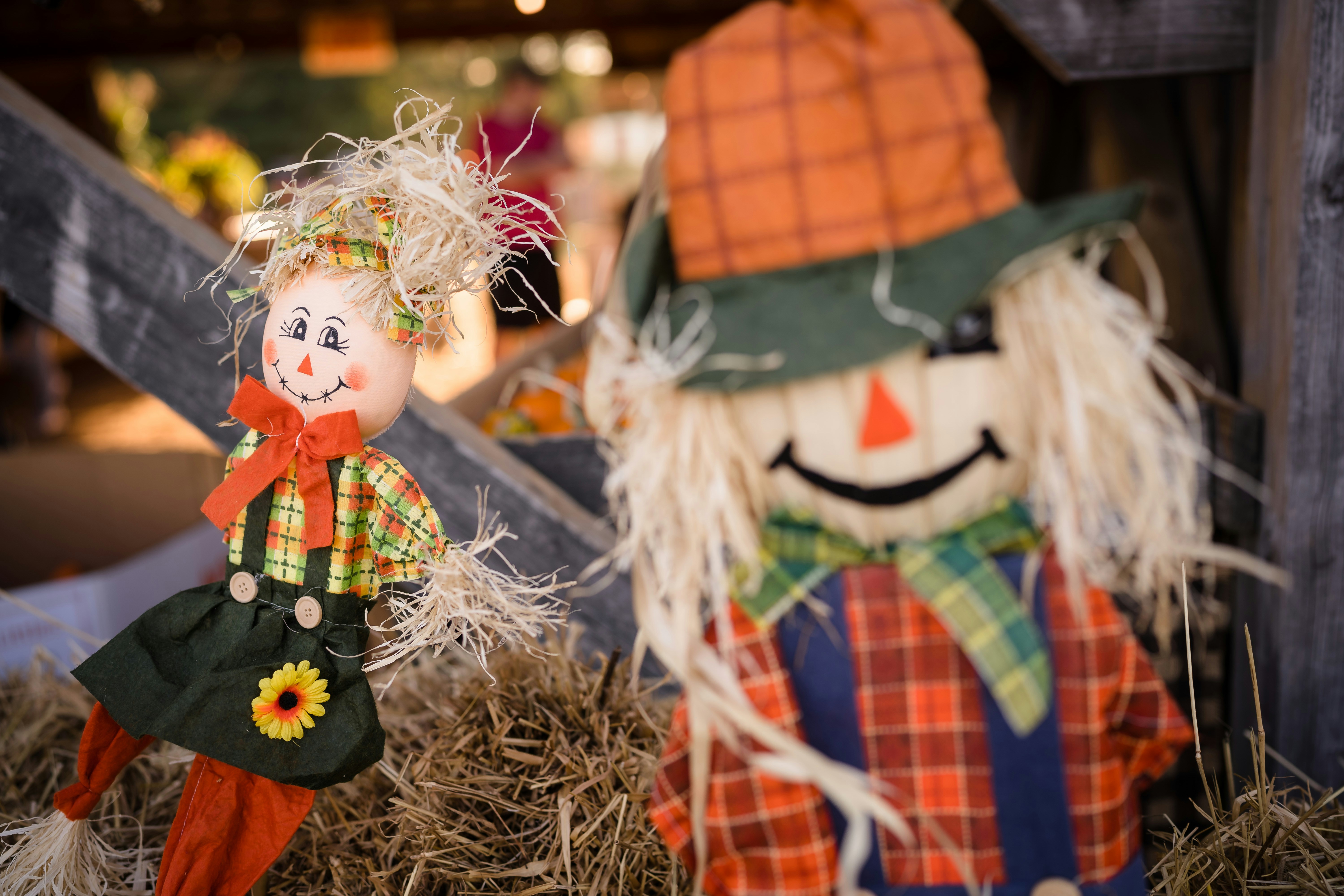 Photo by trytoscareme