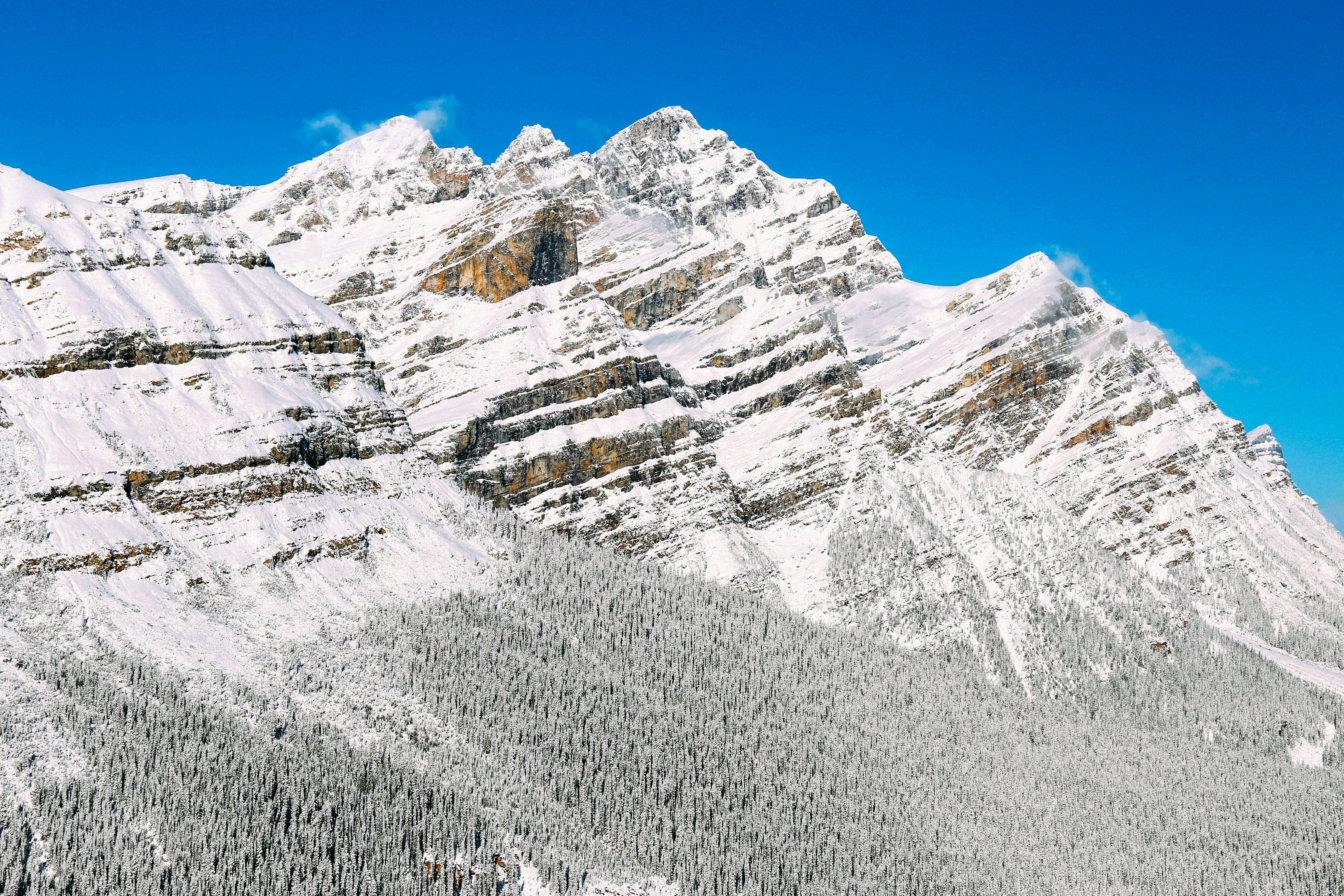 Photo by tommaomaoer