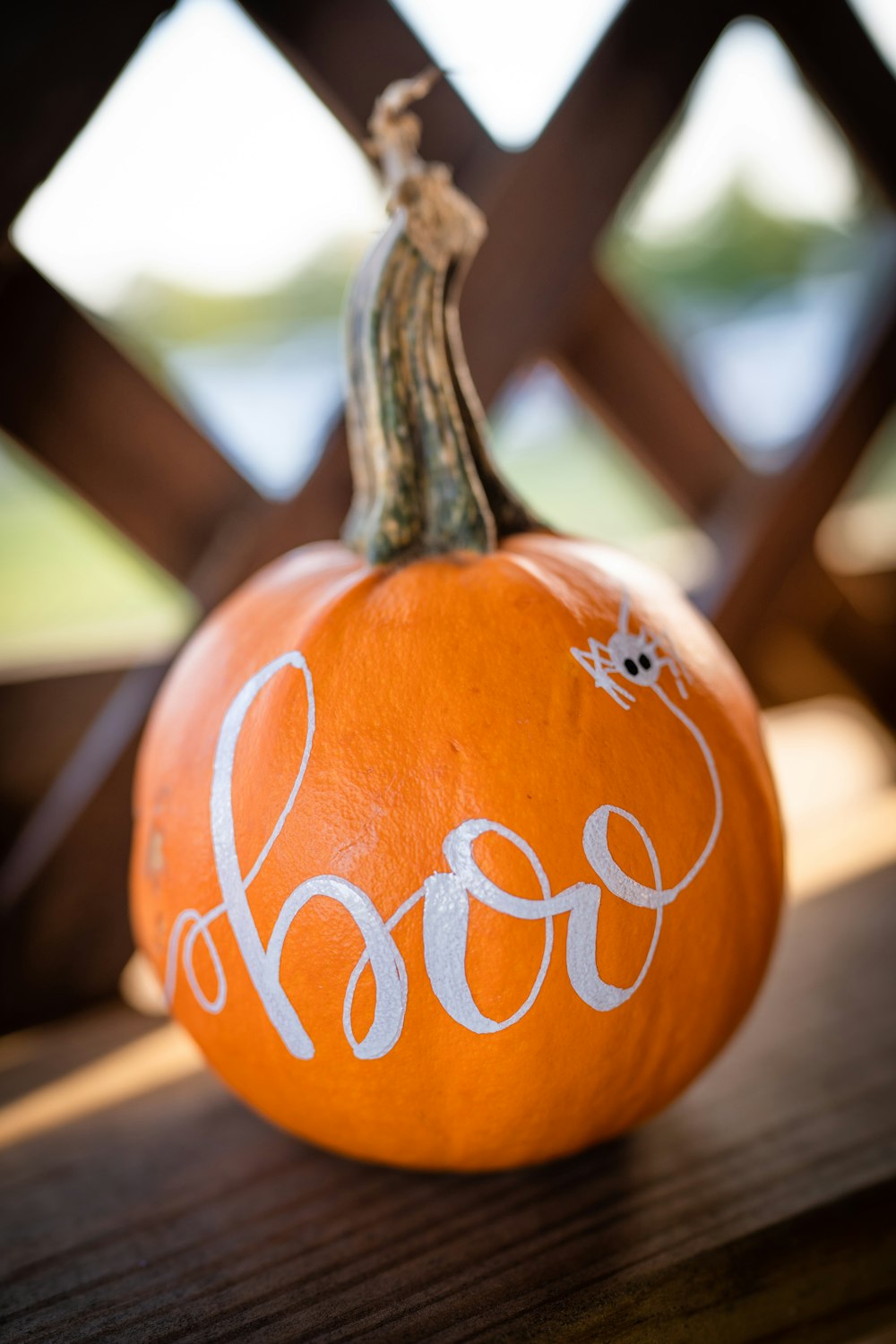 a pumpkin with the word hope painted on it