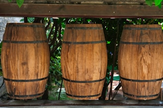 Three large wooden barrels stand in a row, supported by a wooden frame. The barrels have a natural, weathered texture with visible wood grain and are bound with metal bands. Lush green foliage surrounds the barrels, creating a rustic and natural setting.