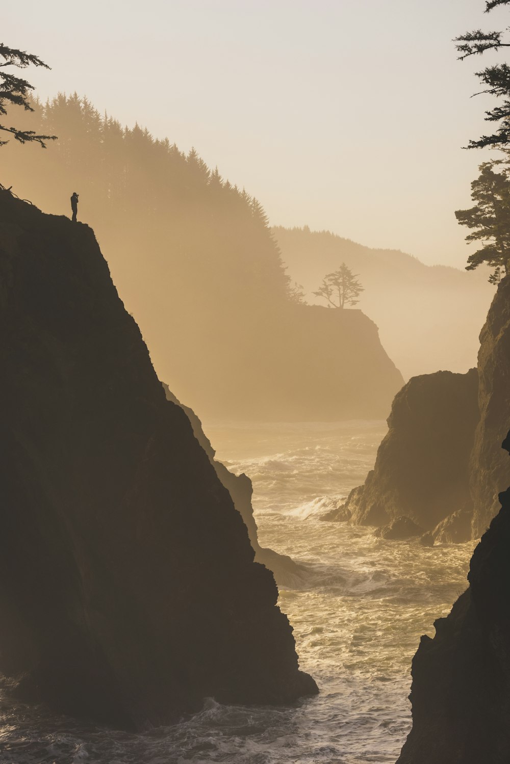 a person standing on a cliff overlooking the ocean