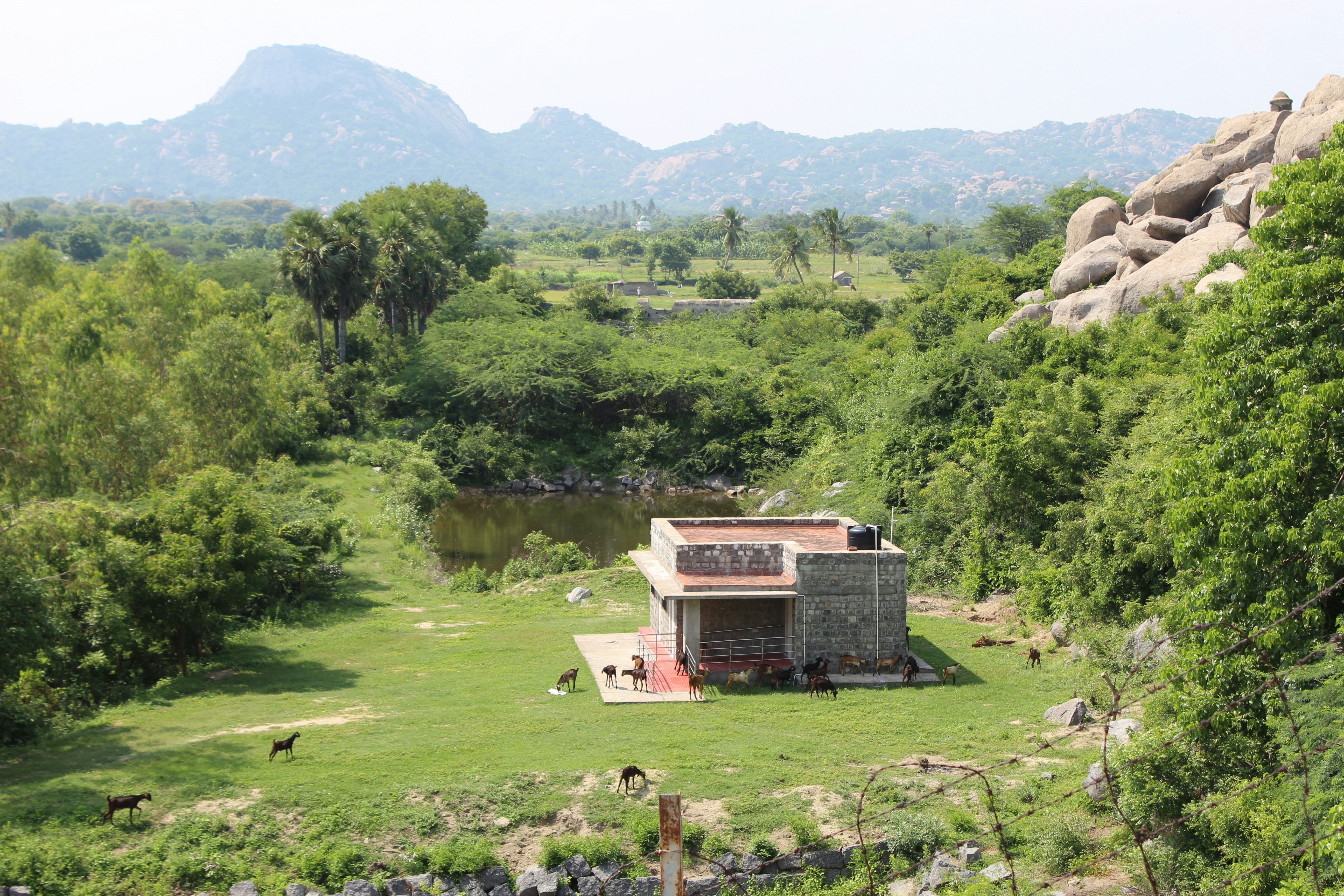 a house in the middle of a lush green field