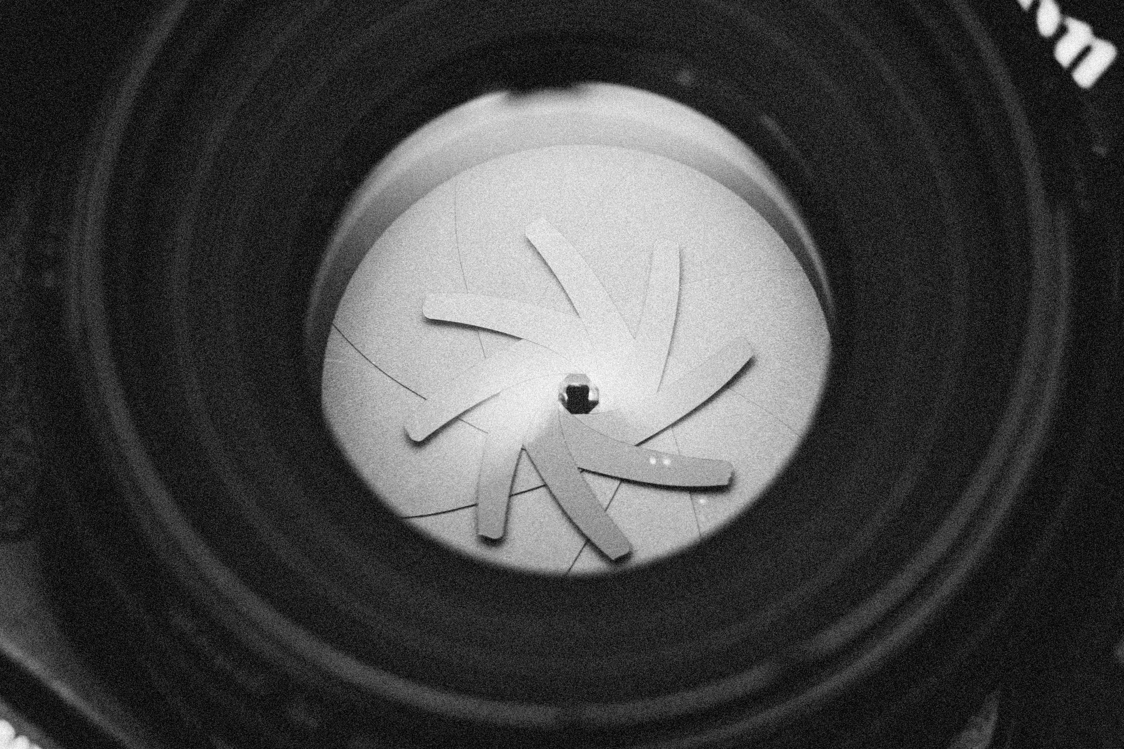 Photo by alexeydemidov