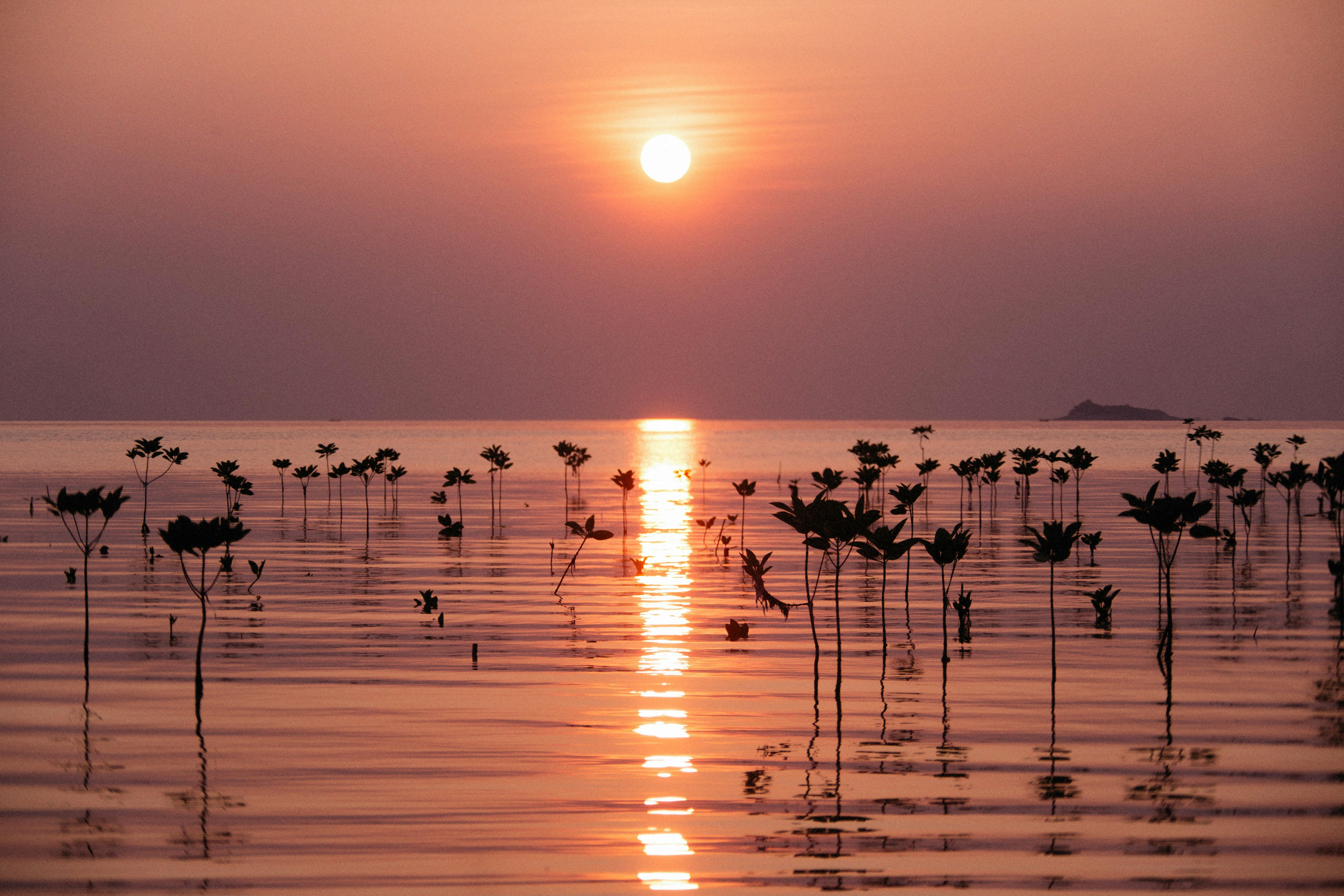 Photo by alexeydemidov