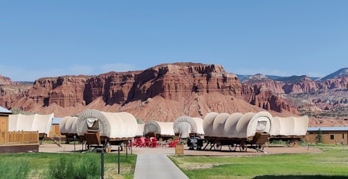 Several covered wagons are positioned on a grass and dirt area with a backdrop of striking red rock cliffs under a clear blue sky. The wagons are arranged as part of a campground or lodging setup, with wooden decking and a group of red chairs visible in the center.