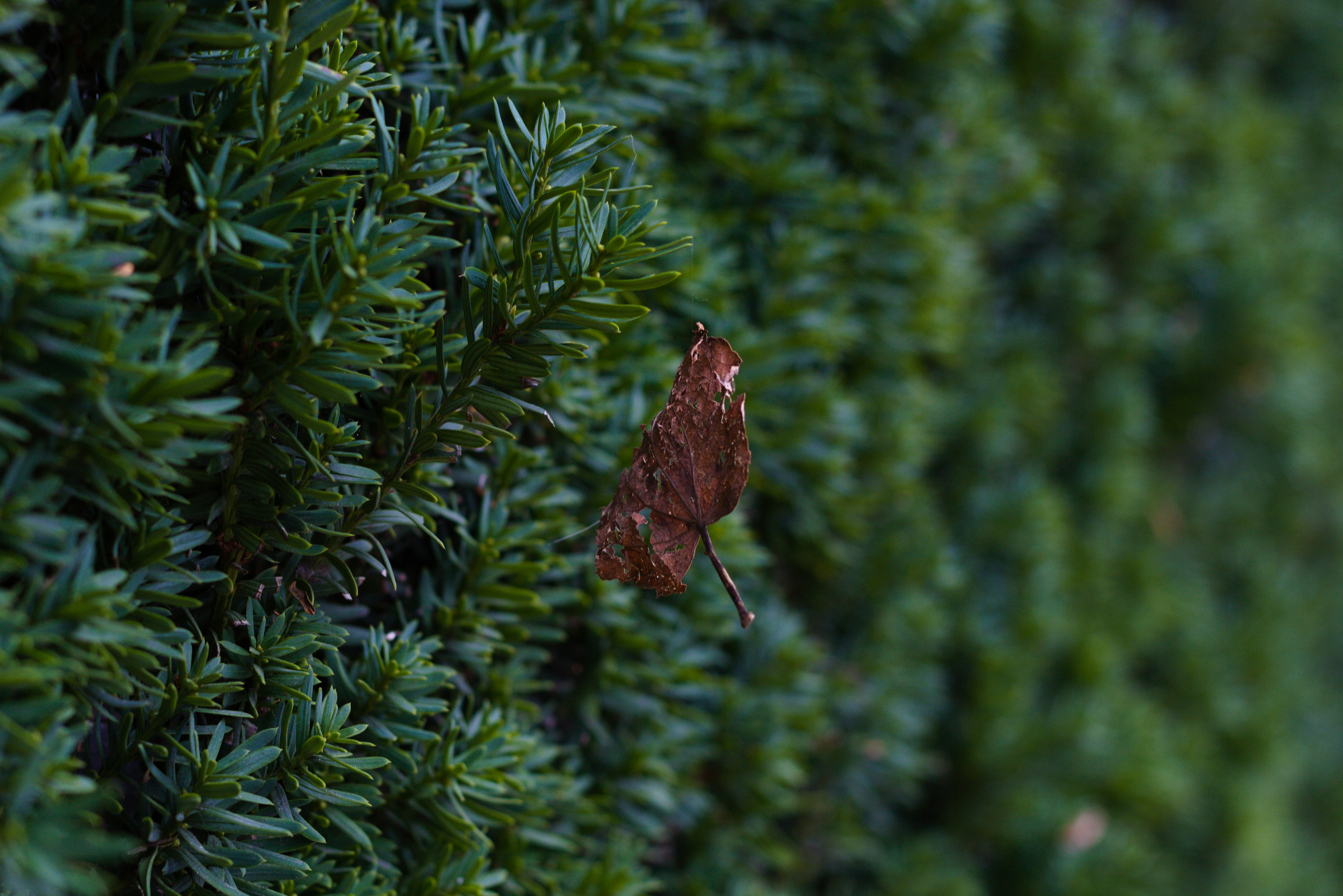 Photo by hazwankosni