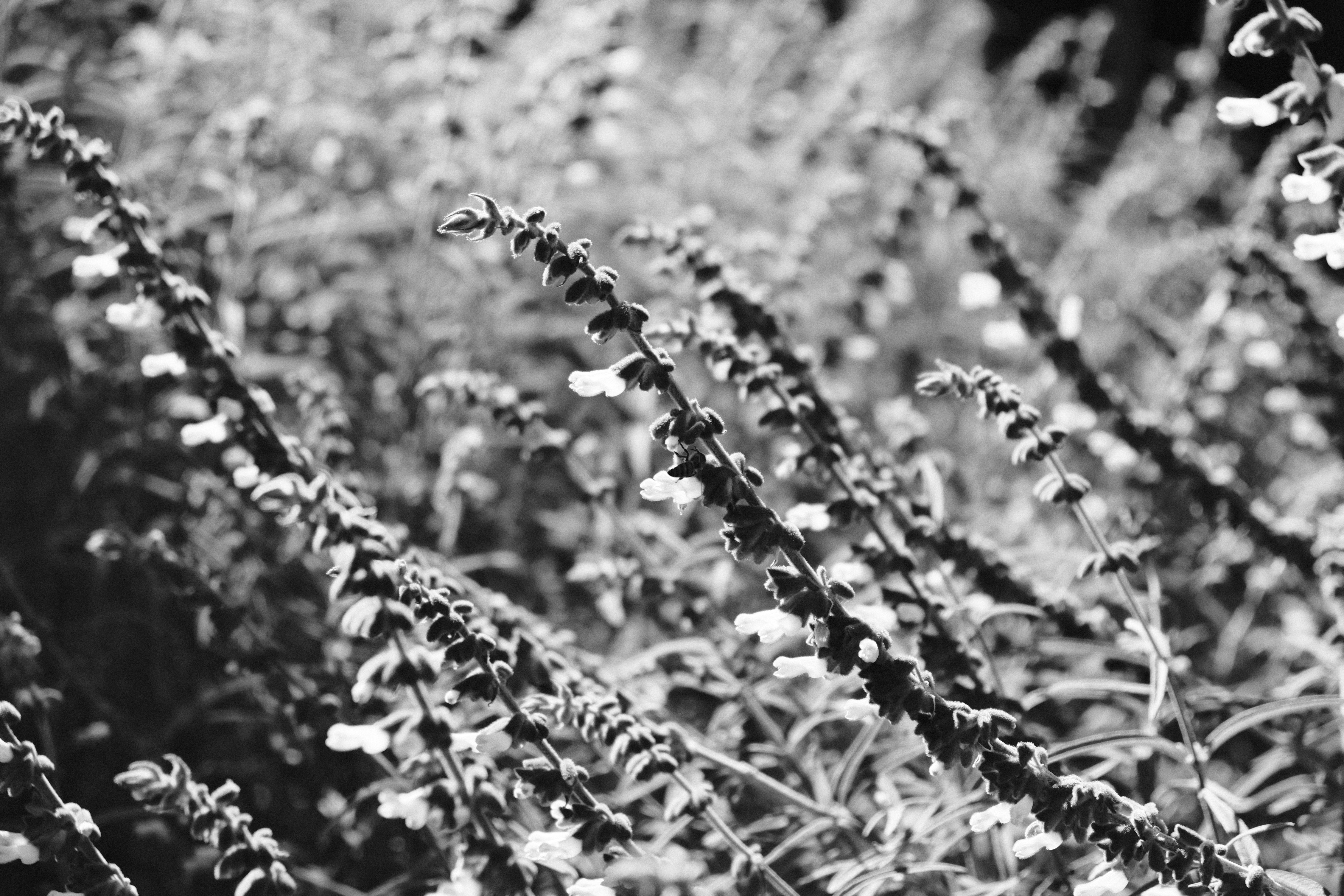 Photo by chandleraitchison