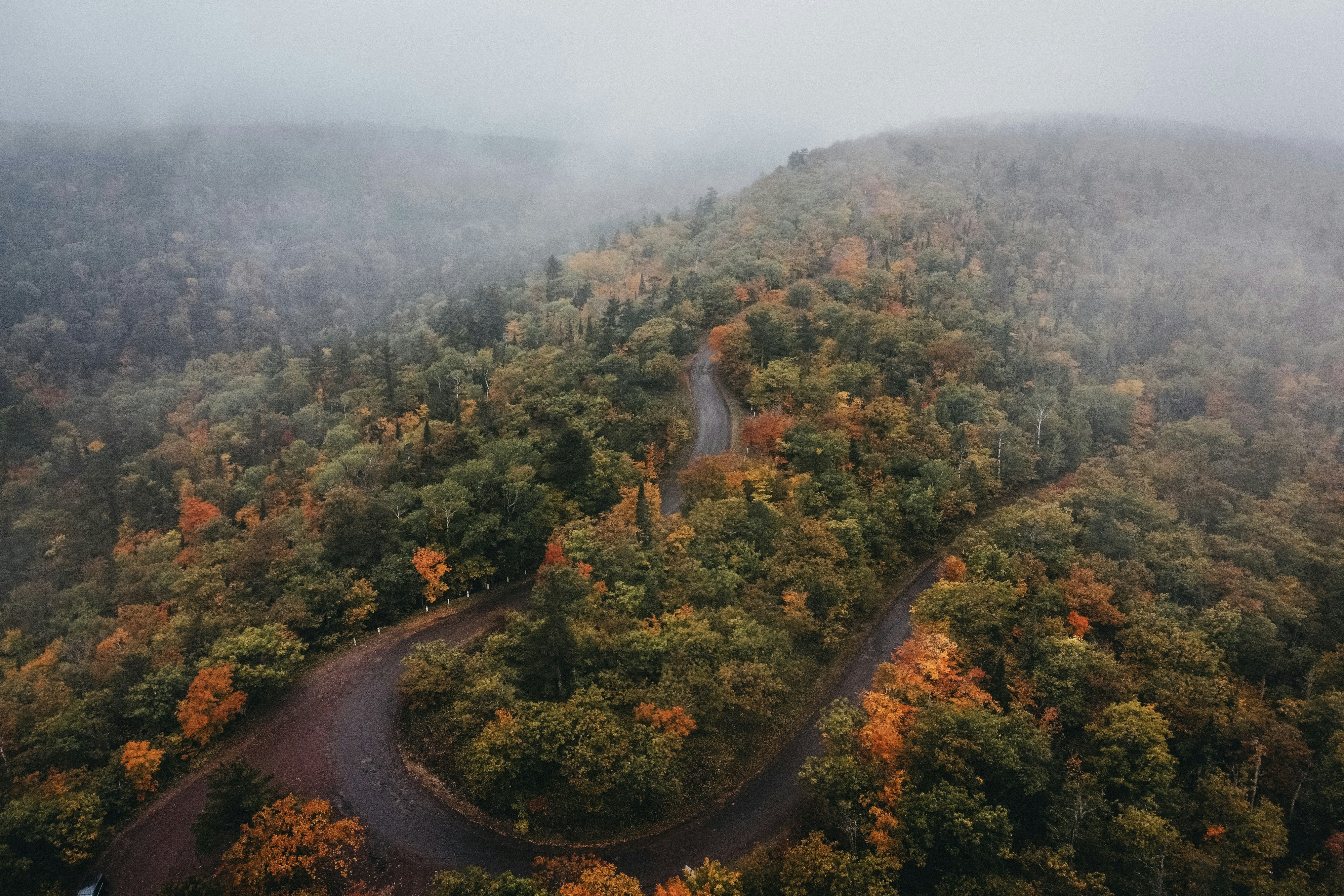 an aerial view of a winding road surrounded by trees, Fall color from the sky
