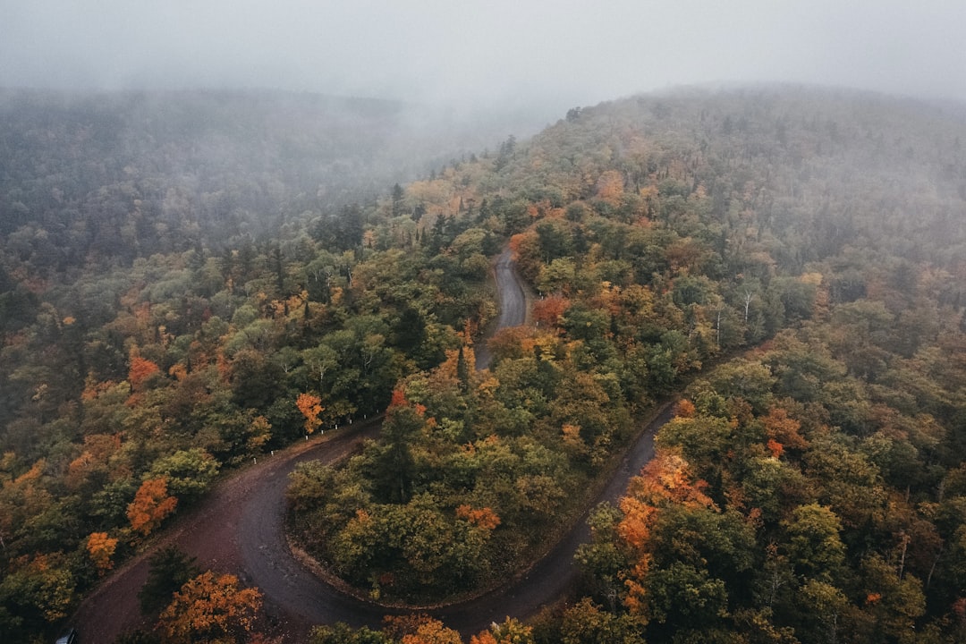 an aerial view of a winding road surrounded by trees, Fall color from the sky