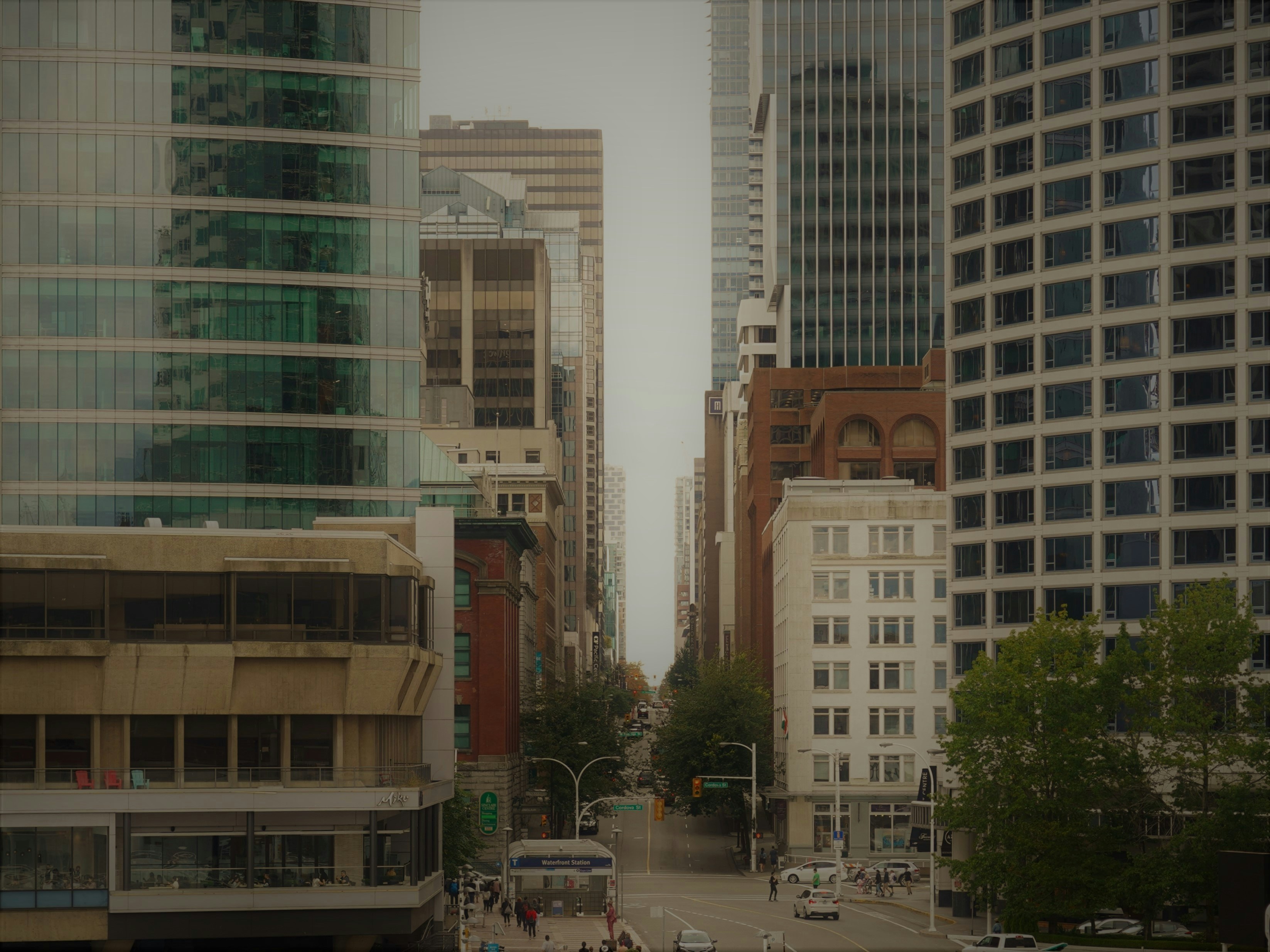 Photo by roshanrajx64