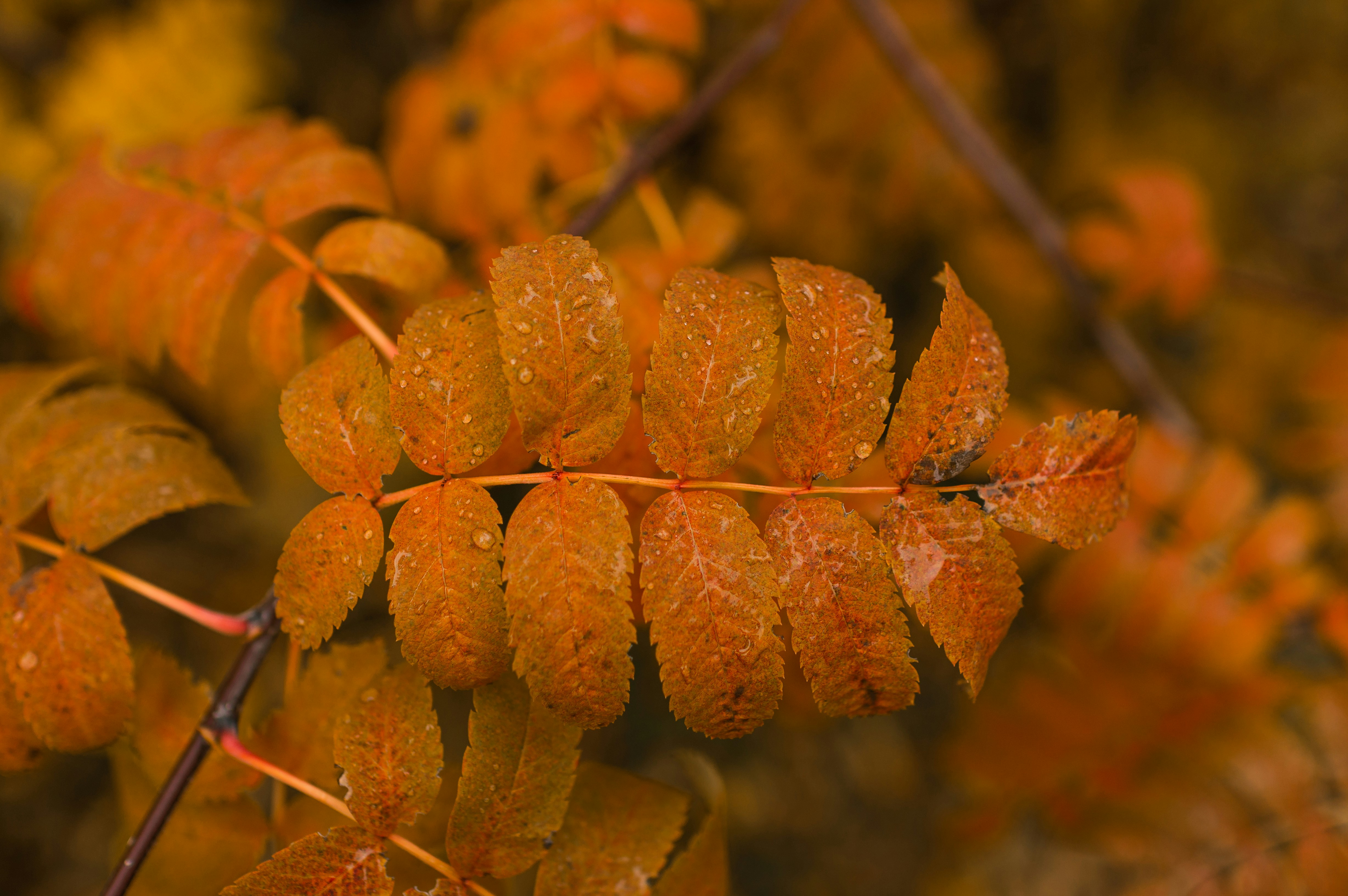 Photo by batondamdinov