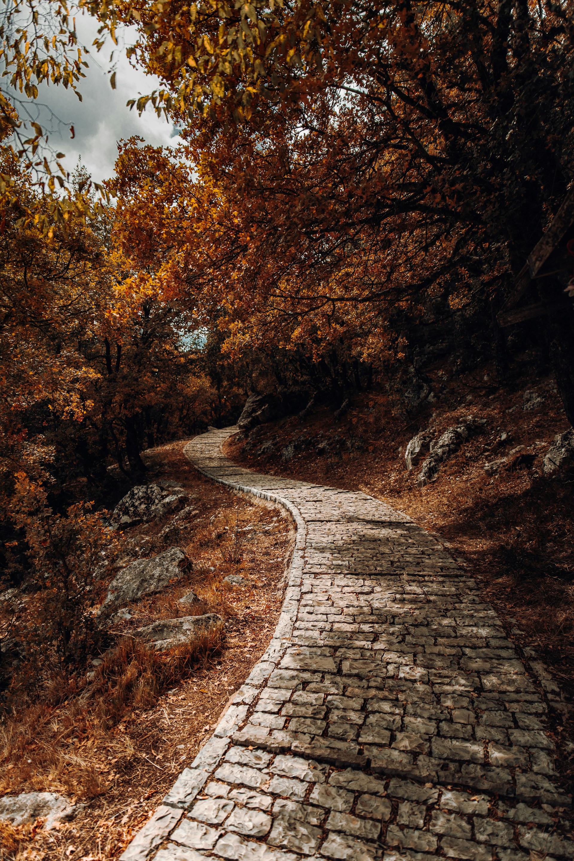 a brick path in the middle of a forest