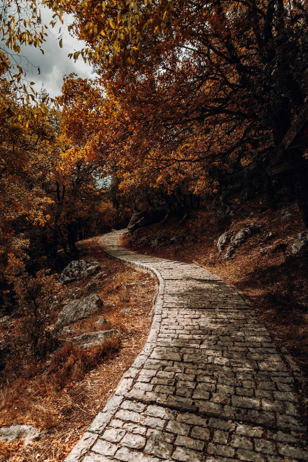 a brick path in the middle of a forest