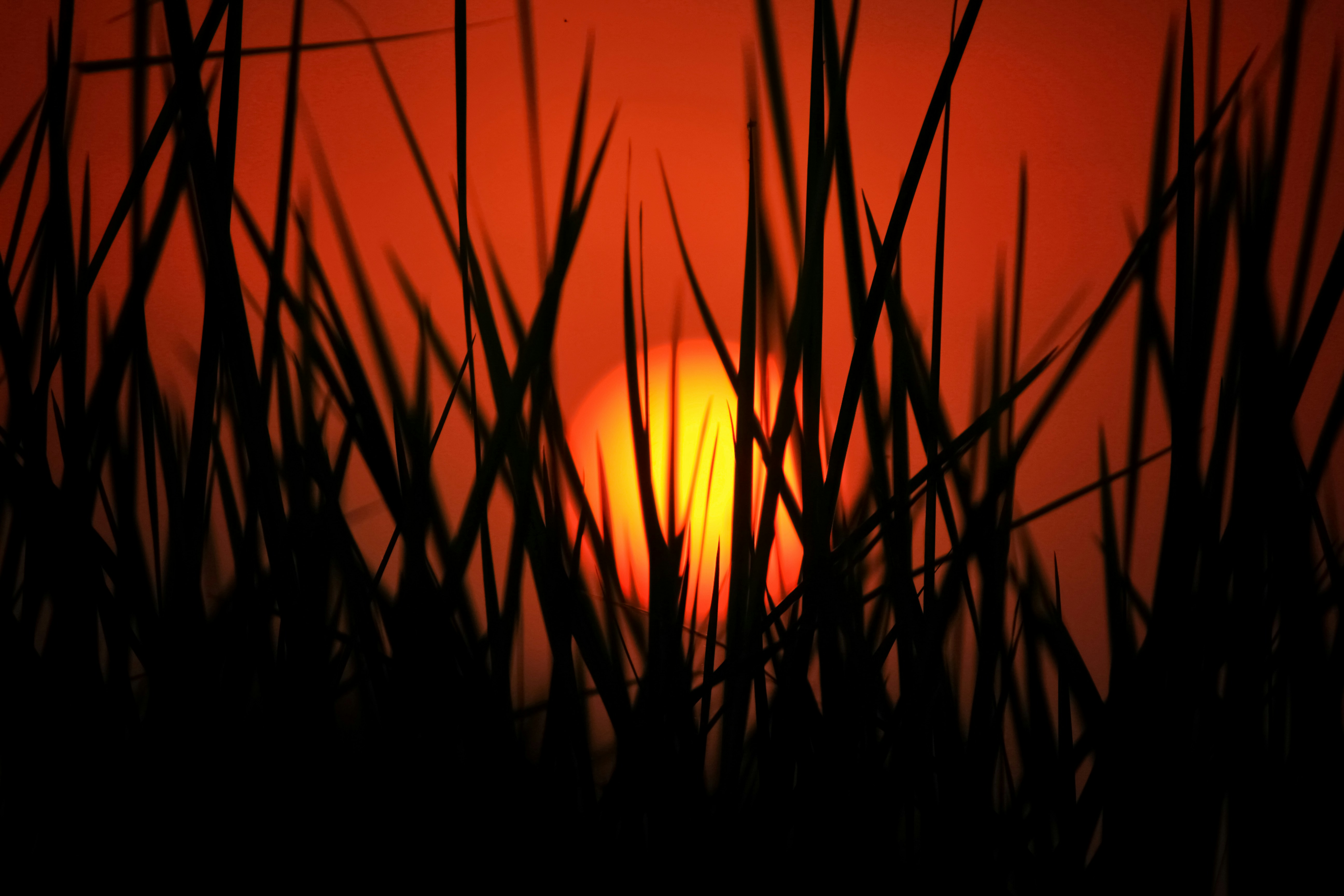 Photo by aniljose1997