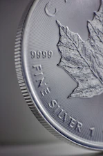 a close up of a silver coin with a leaf on it