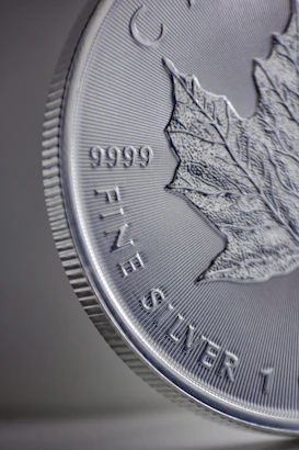 a close up of a silver coin with a leaf on it