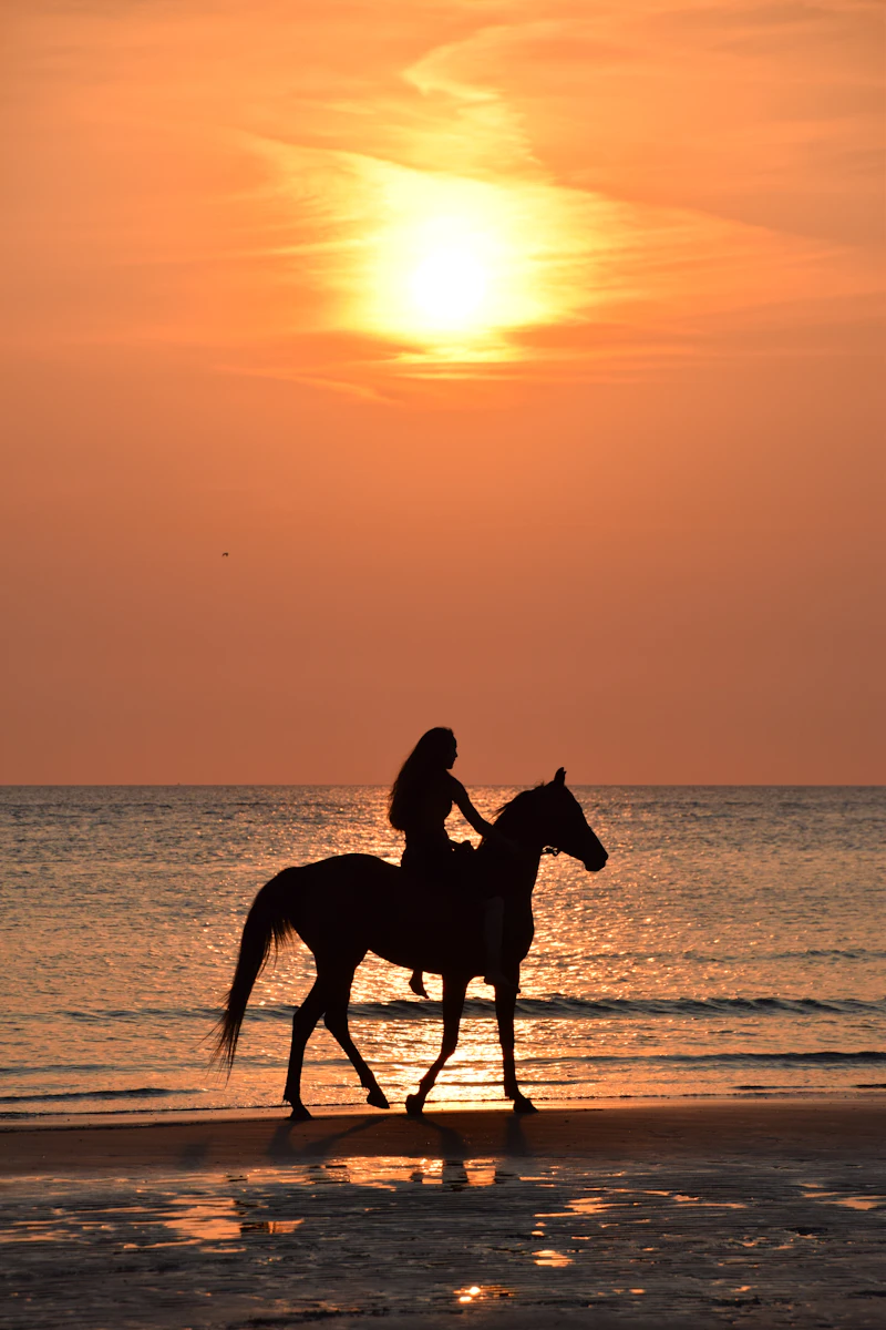 Galop sur les plages du Calvados